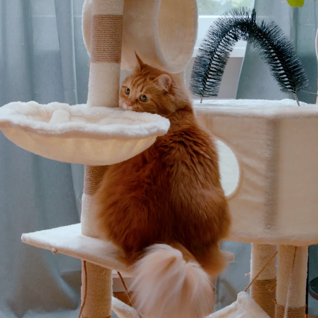 (150cm) Cat tree sisal scratching posts with house / hammock / tunnel / viewing platform - Beige
