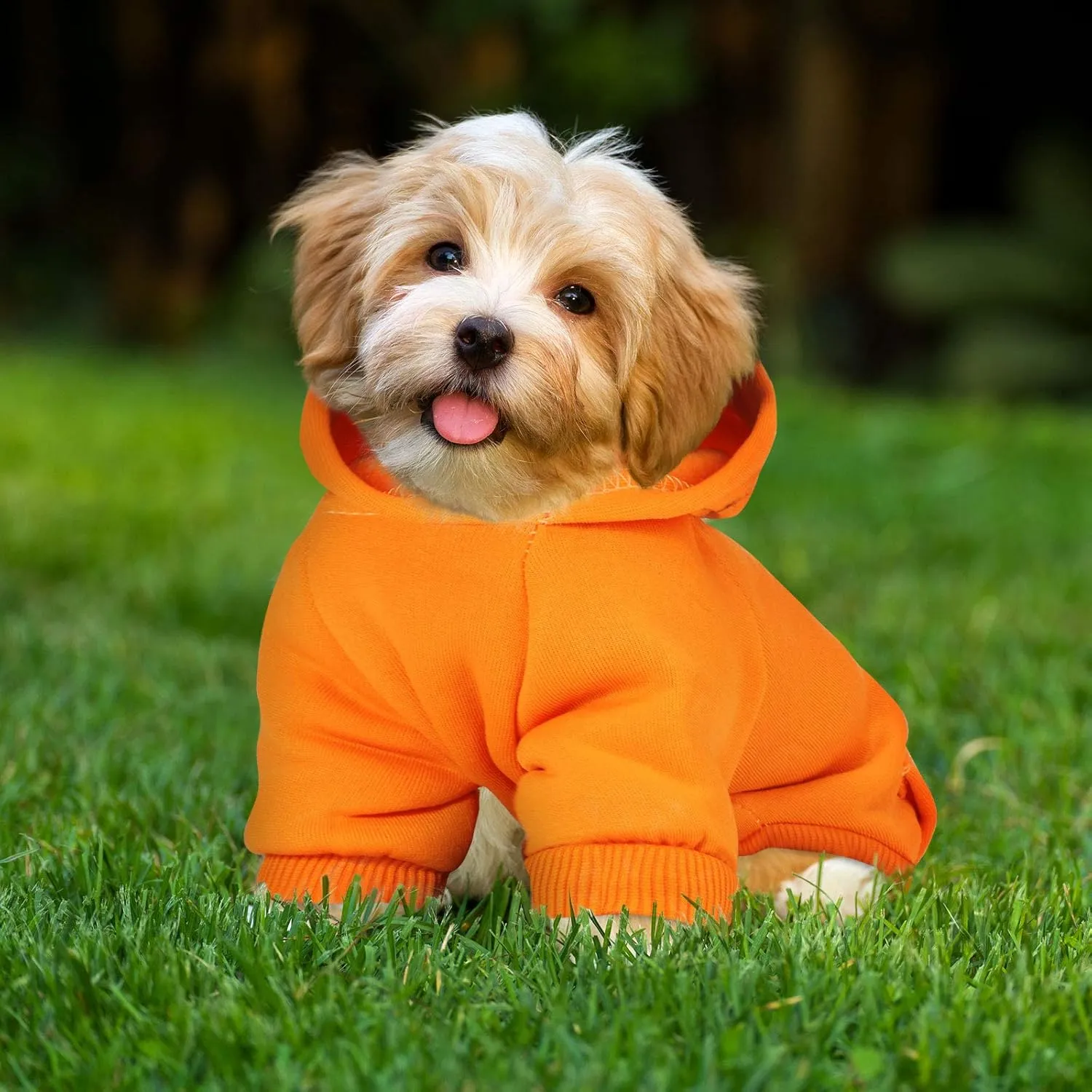 2 Pieces Winter Dog Hoodie Warm Small Dog Sweatshirts with Pocket Cotton Coat for Chihuahua Clothes Puppy Costume(M,Orange, Brown)
