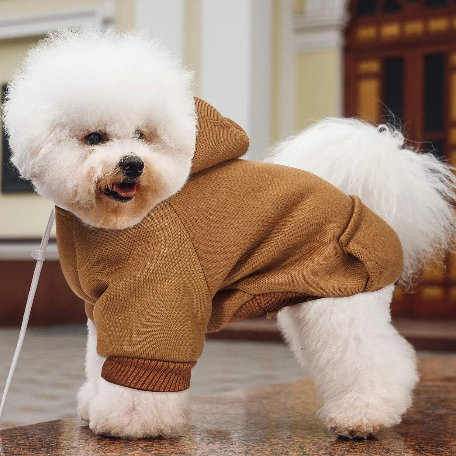 2 Pieces Winter Dog Hoodie Warm Small Dog Sweatshirts with Pocket Cotton Coat for Chihuahua Clothes Puppy Costume(M,Orange, Brown)