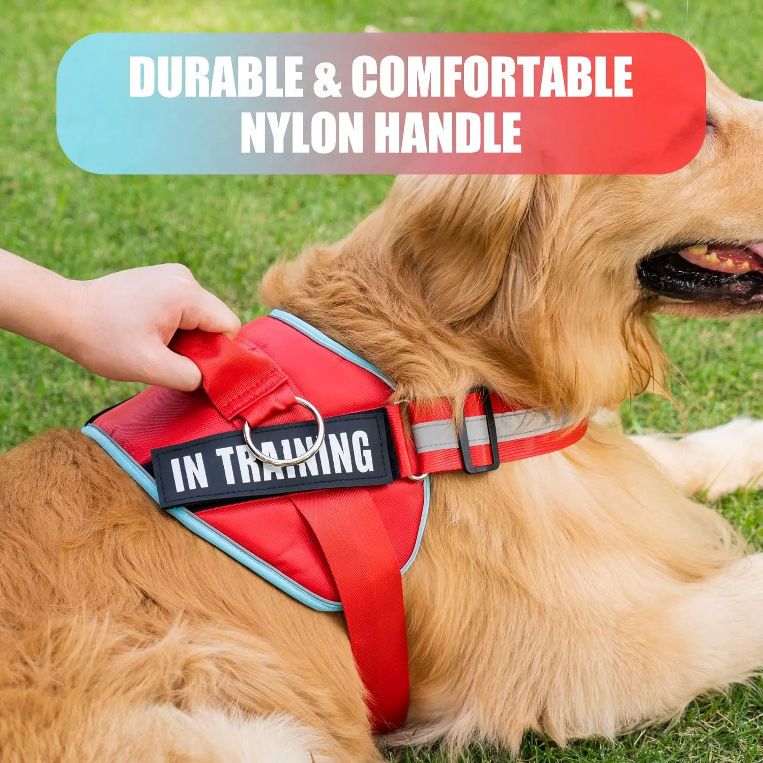 3 Ring No Pull Dog Harness, Reflective Adjustable Dog Vest Harness with 3 Leash Clips, in Training Service Pet Harness with 8Pcs Dog Patches, No-Choke Pet Oxford Vest with Easy Control Handle