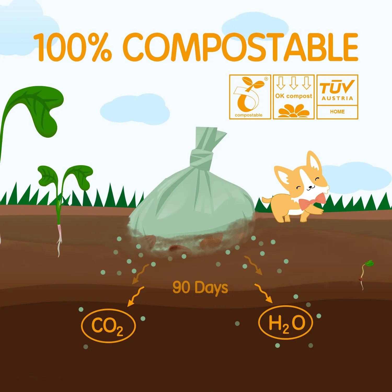 Aimondow Compostable Dog Poop Bags Biodegradable Dogs Waste Bags Leak-proof Poop Bags for Dogs Easy Detach Pet Bags for Dog, 9x13Inch, 12 Rolls, 180 Bags