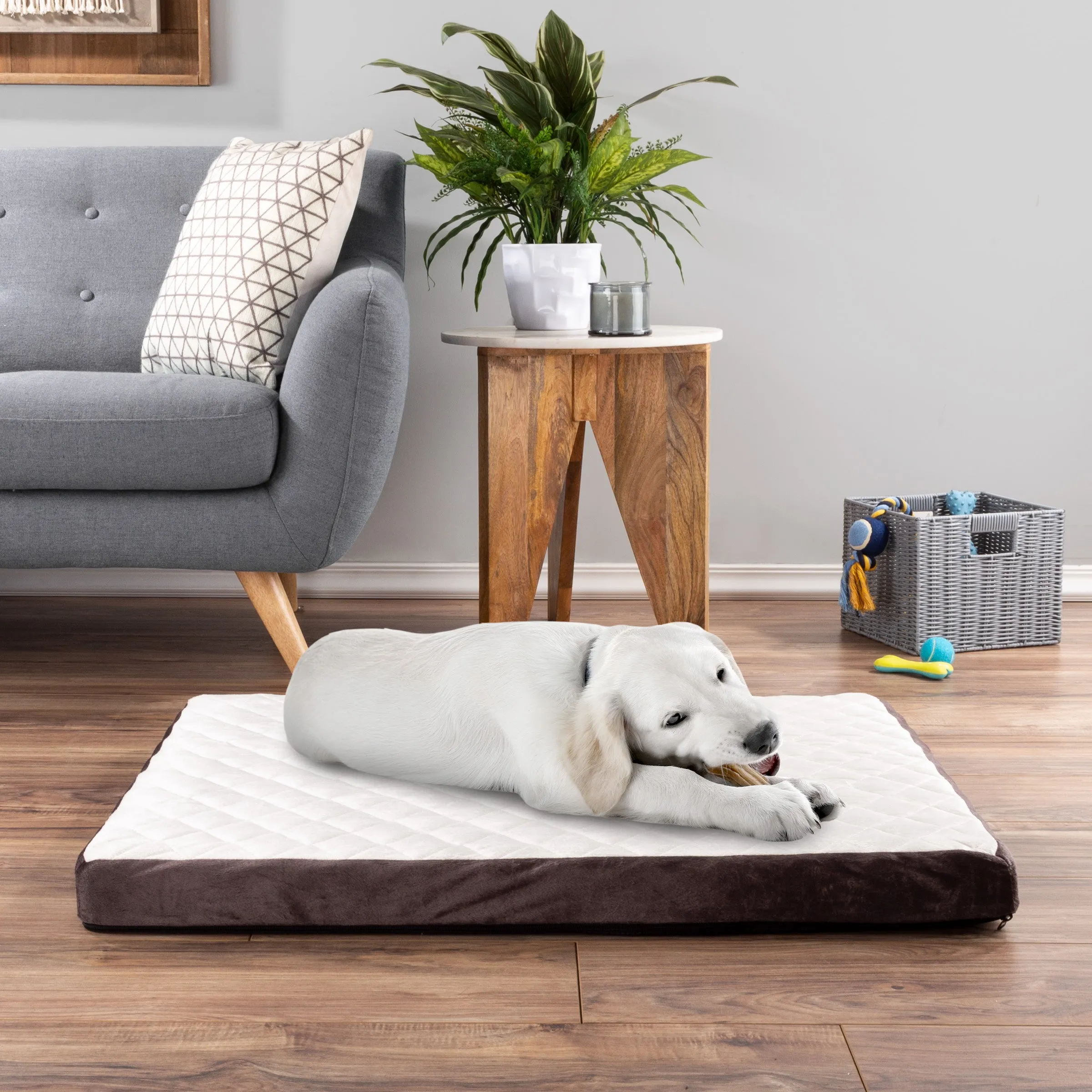 Bamboo Charcoal Infused Dog Bed