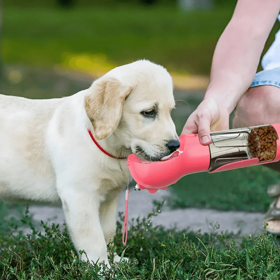 Bouteille d'eau pour chien multifonction