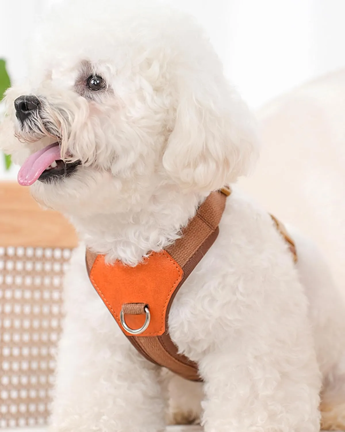 Brown Medium Dog Harness for Medium Dogs, No Pull Dog Harness with 2 Leash Clips, Puppy HarnessDog Vest Harnes (Brown, M)