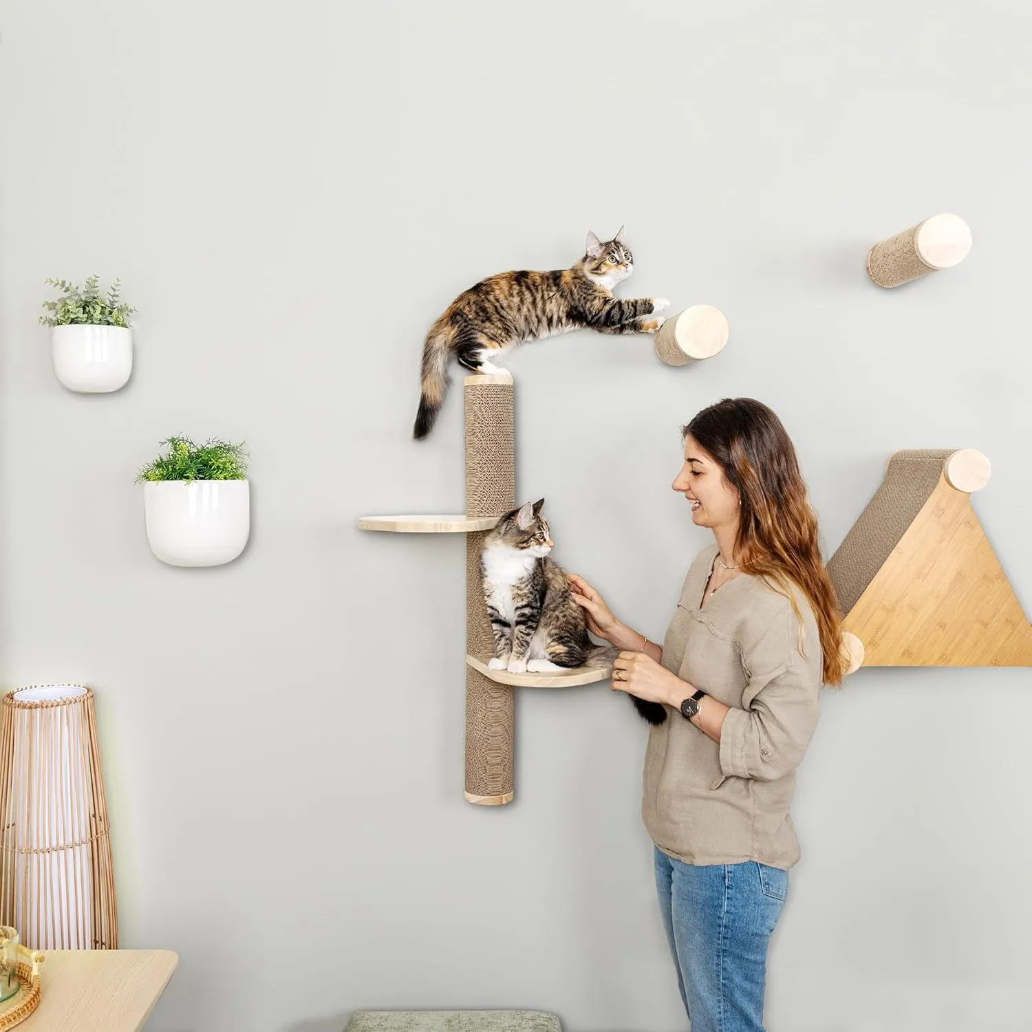 Cat Climbing Wall System  Modern Floating Shelves & Perches for Cats - Sunrise Steps | Ascentials by FurHaven