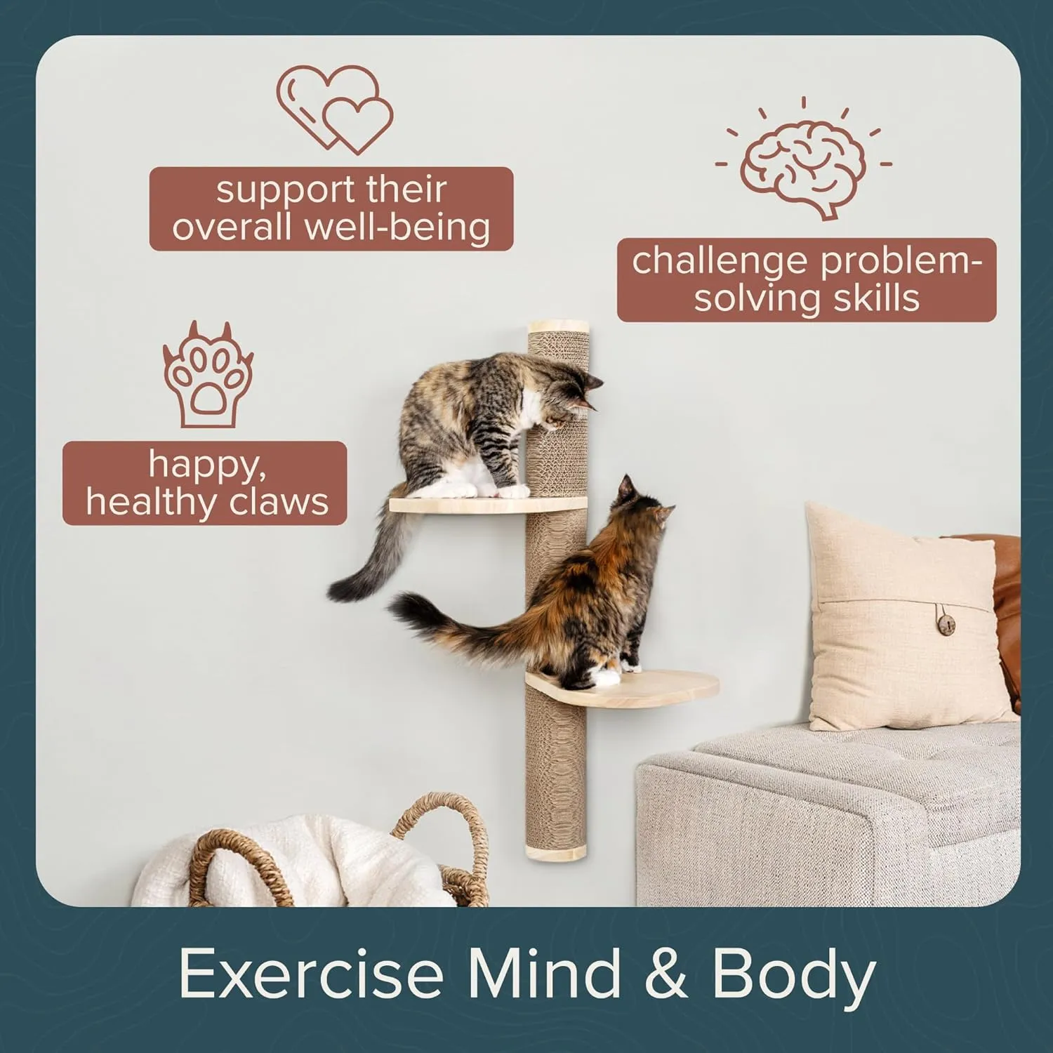 Cat Climbing Wall System  Modern Floating Shelves & Perches for Cats - Sunrise Steps | Ascentials by FurHaven