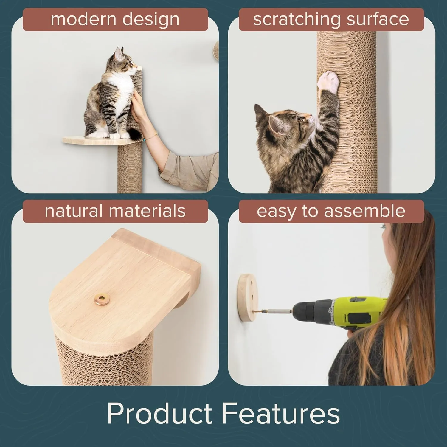 Cat Climbing Wall System  Modern Floating Shelves & Perches for Cats - Sunrise Steps | Ascentials by FurHaven