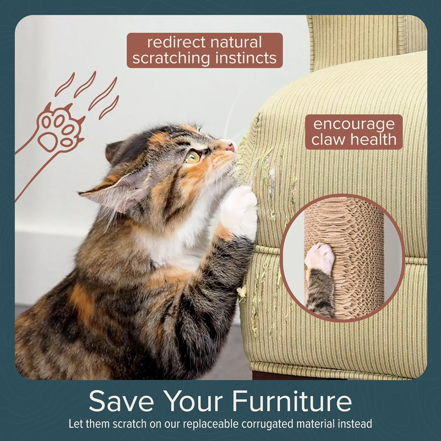 Cat Climbing Wall System  Modern Floating Shelves & Perches for Cats - Sunrise Steps | Ascentials by FurHaven