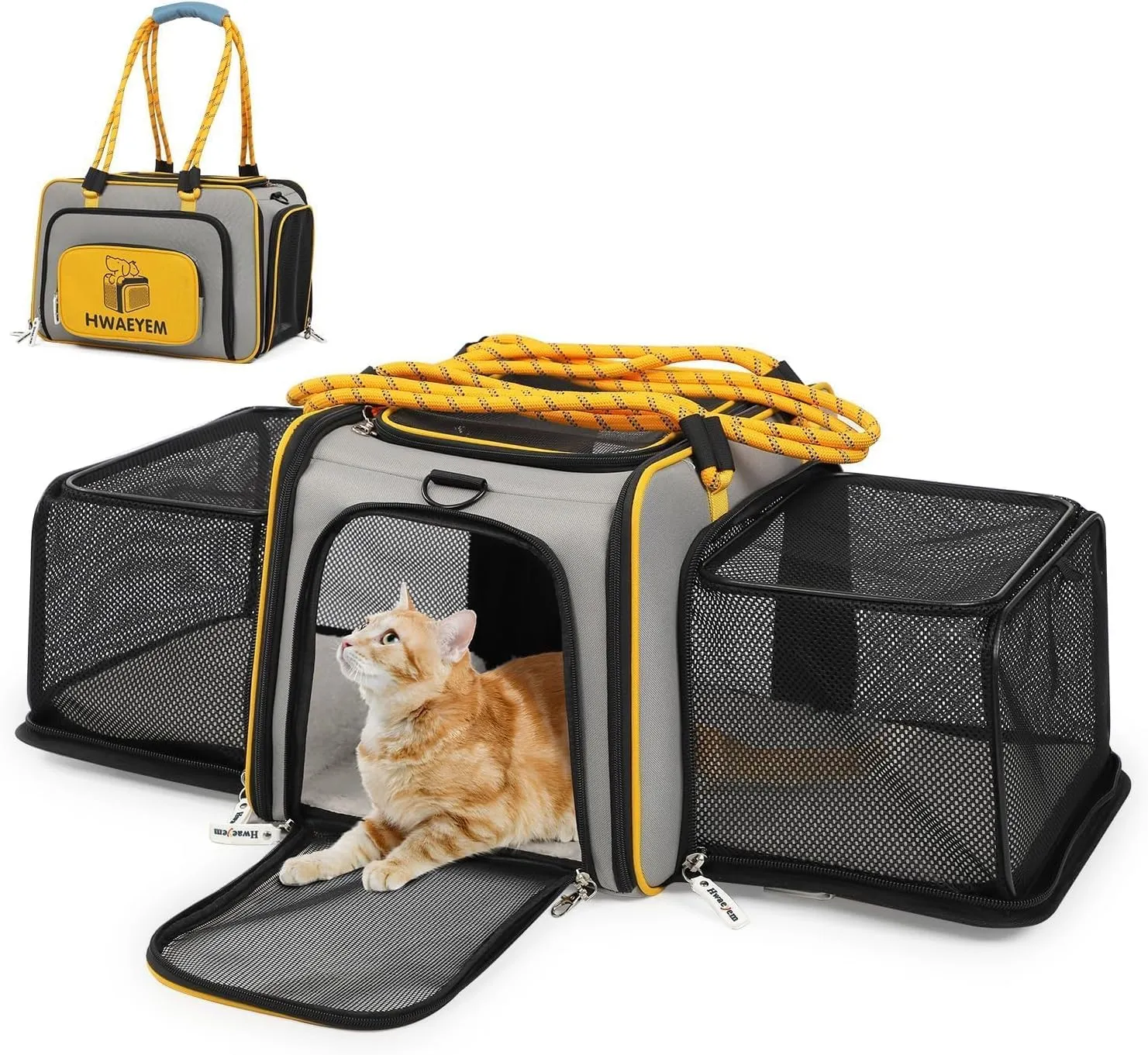 Cat Dog Carrier, Collapsible Soft Lined Small Dog Carrier Car Seat Travel Bag, 17"x15.5"x12.5" Expandable Pet Carrier for Small Cats and Dogs up to 20 LBS