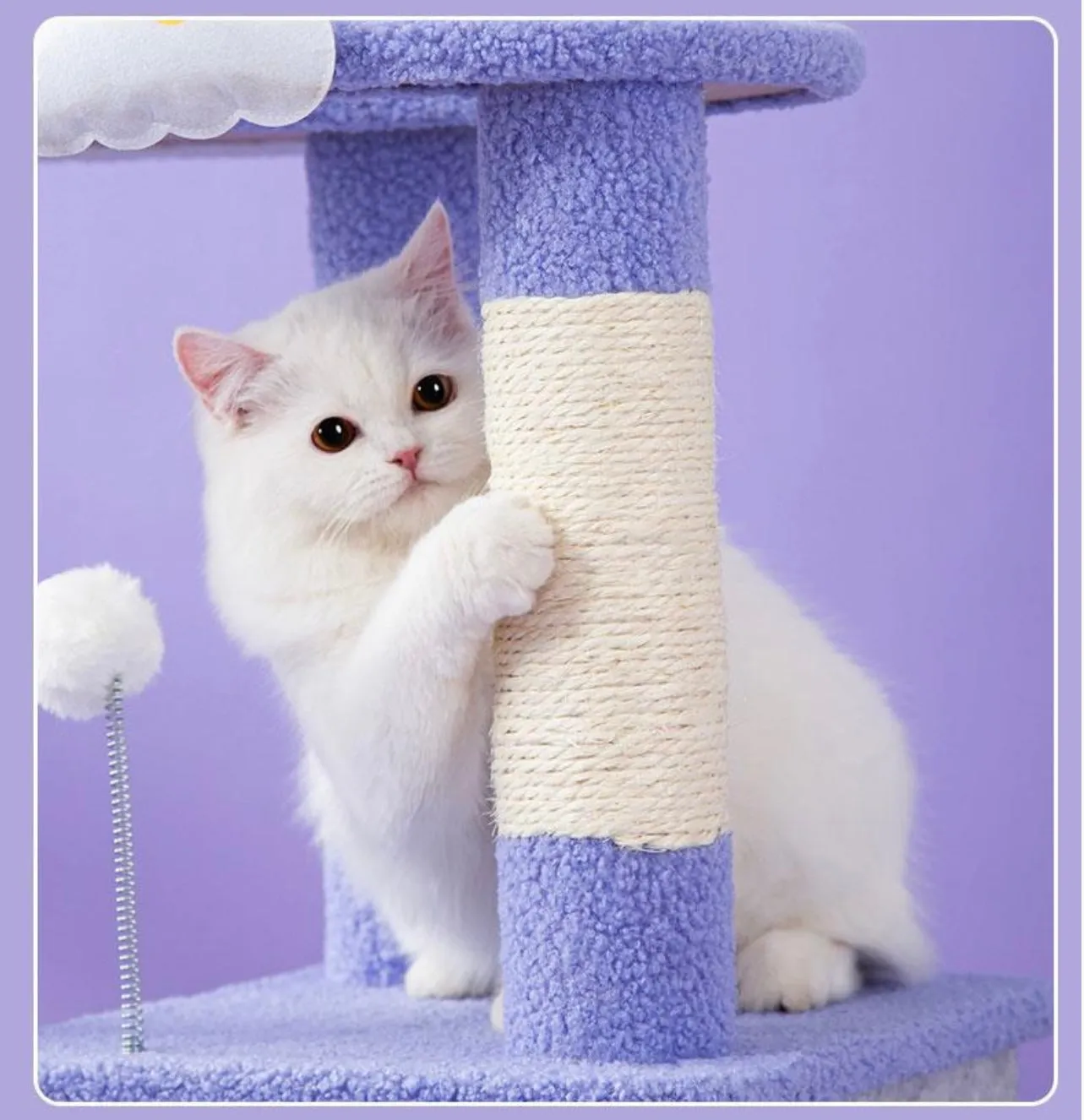 Cat Tree - Starlights