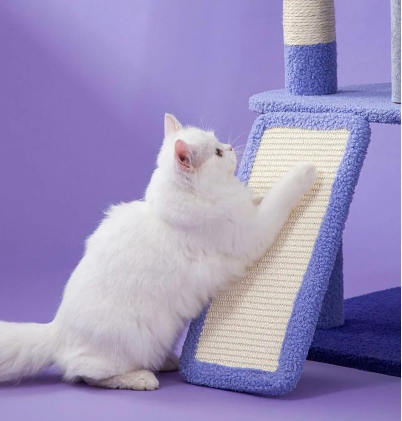 Cat Tree - Starlights