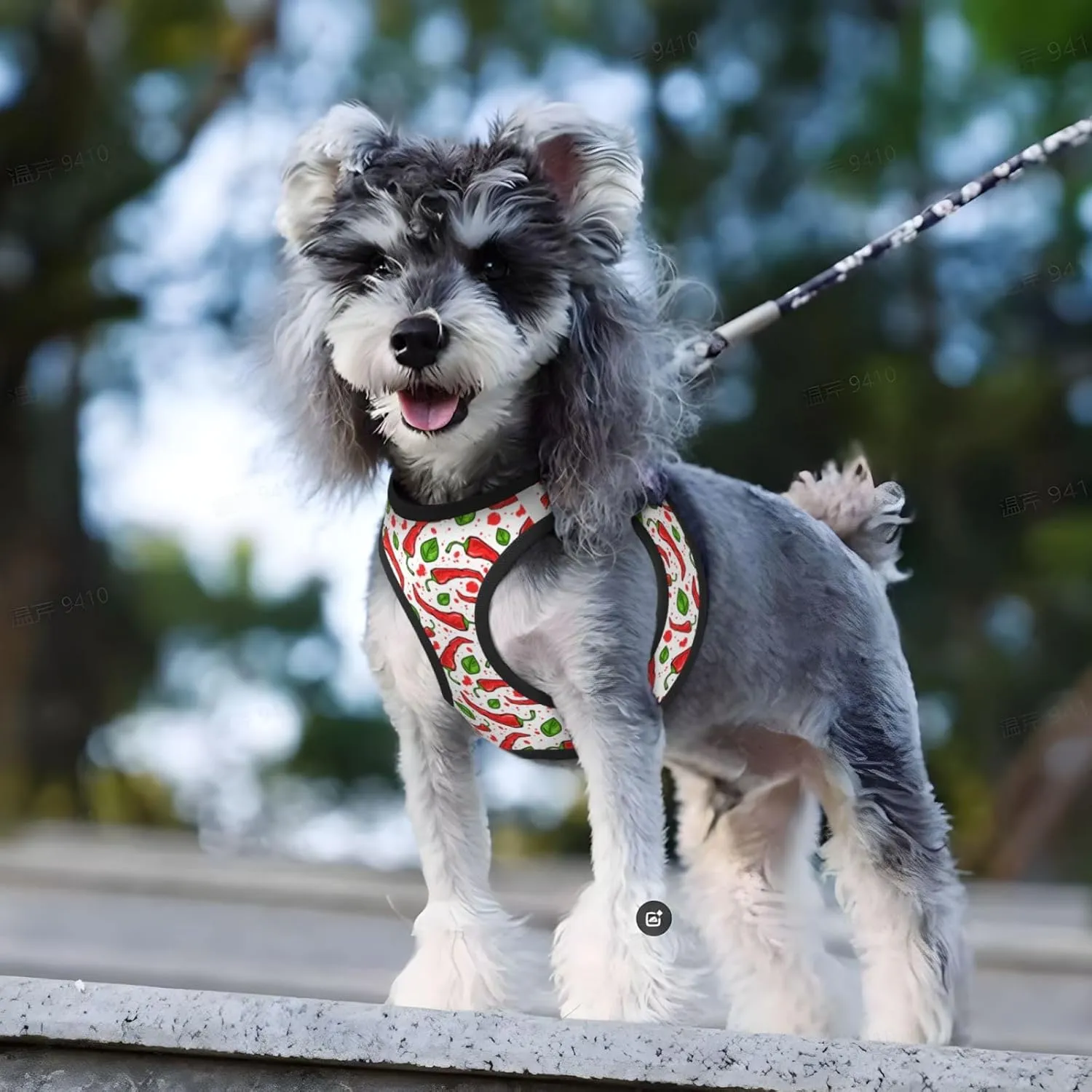 Chili Peppers Print No Pull Dog Harness and Leash Set, Cute Reflective Adjustable Vest for Small Dogs,Breathable Mesh Puppy Harness for Walking Hiking,Small
