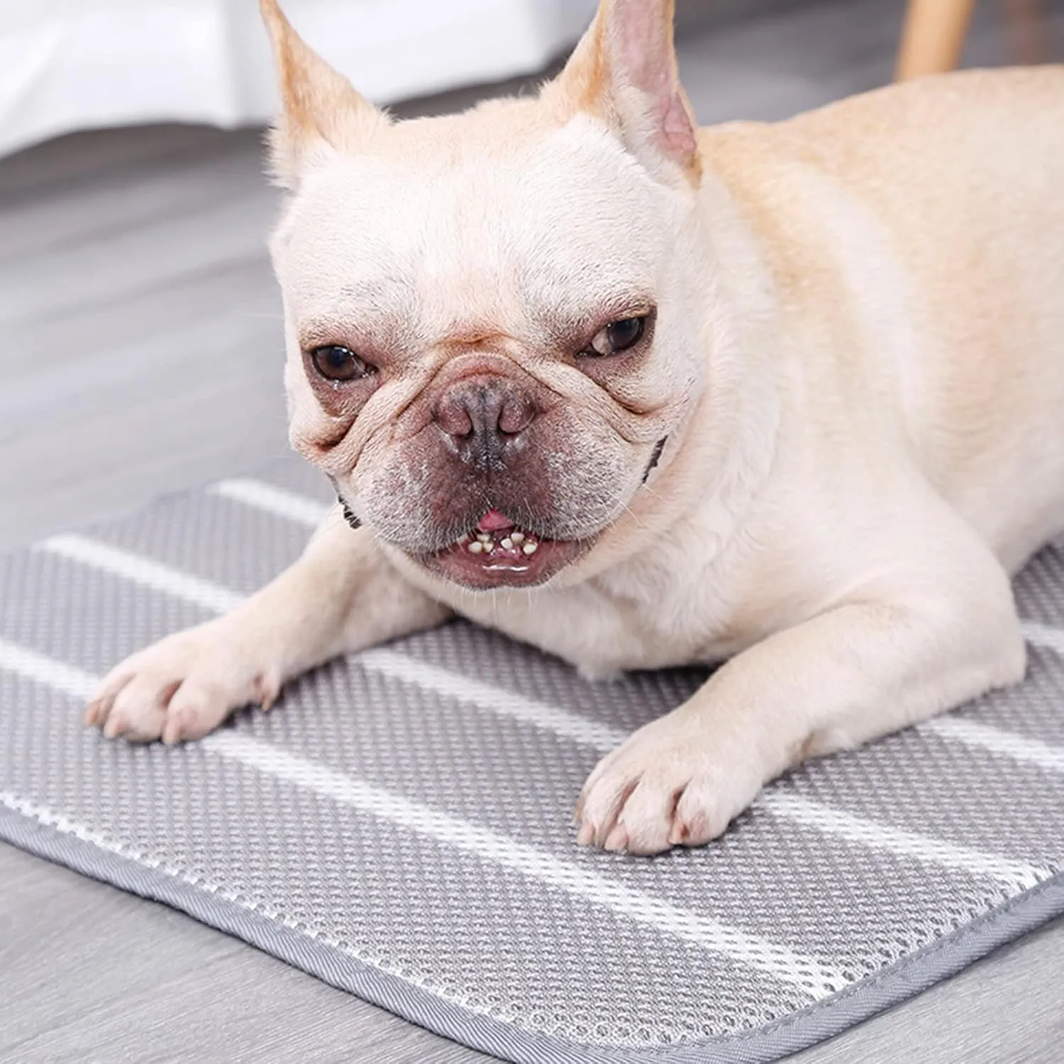 Cooling Mat for Dogs - Cooling Blanket Cushion,Summer Pet Ice Mat Pet Bed for Dogs Cats Kennel Pad 3D Mesh Dog Mat,Non-Slip Pet Crate Mat,Ideal for Grate/Floor/Sofa/Pet Bed/Car Seat