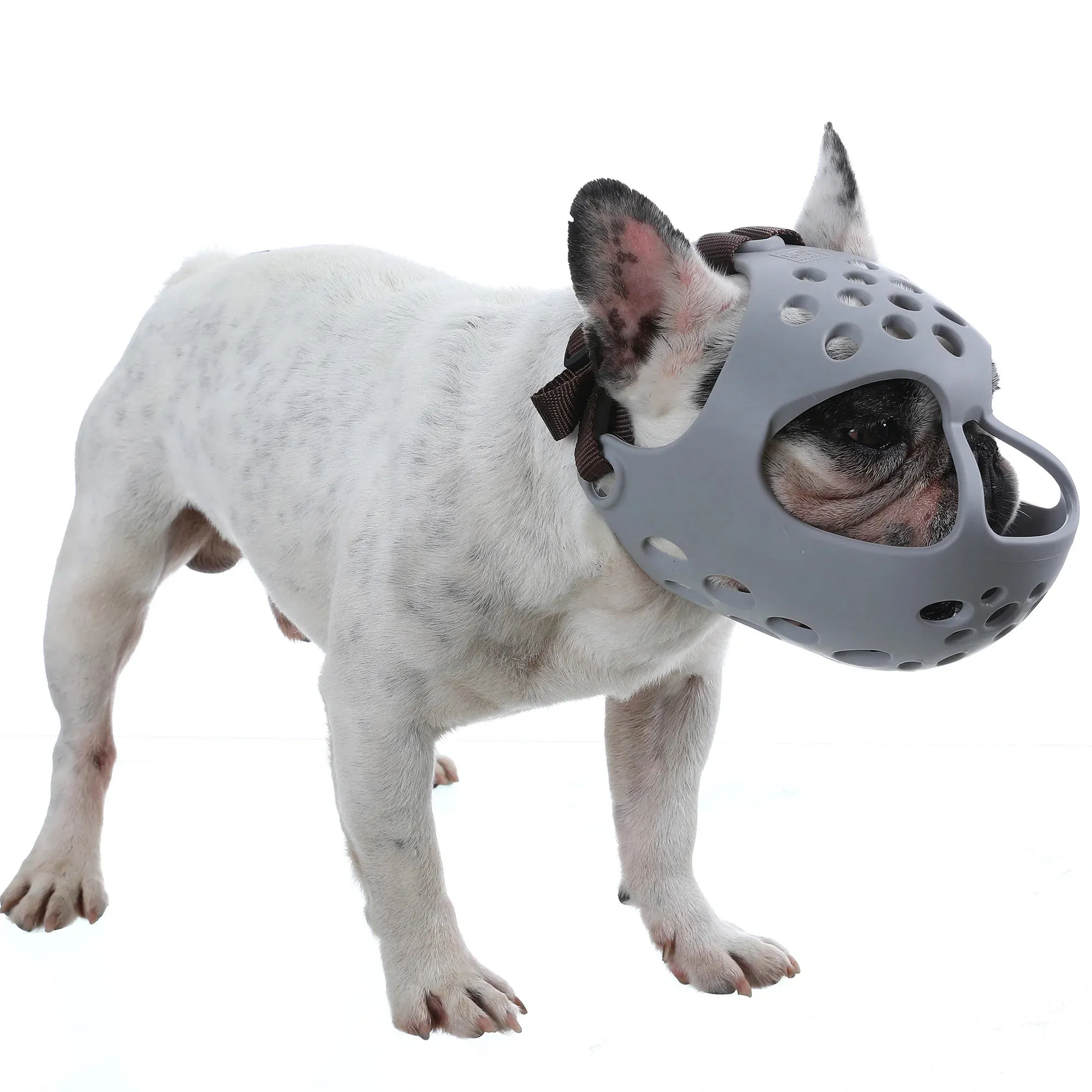 Dog Collar and Muzzle for Short Snout Dogs | Breathable Mesh with Holes | Prevents Biting and Chewing | Suitable for Small and Large Dogs | Alo Trendy