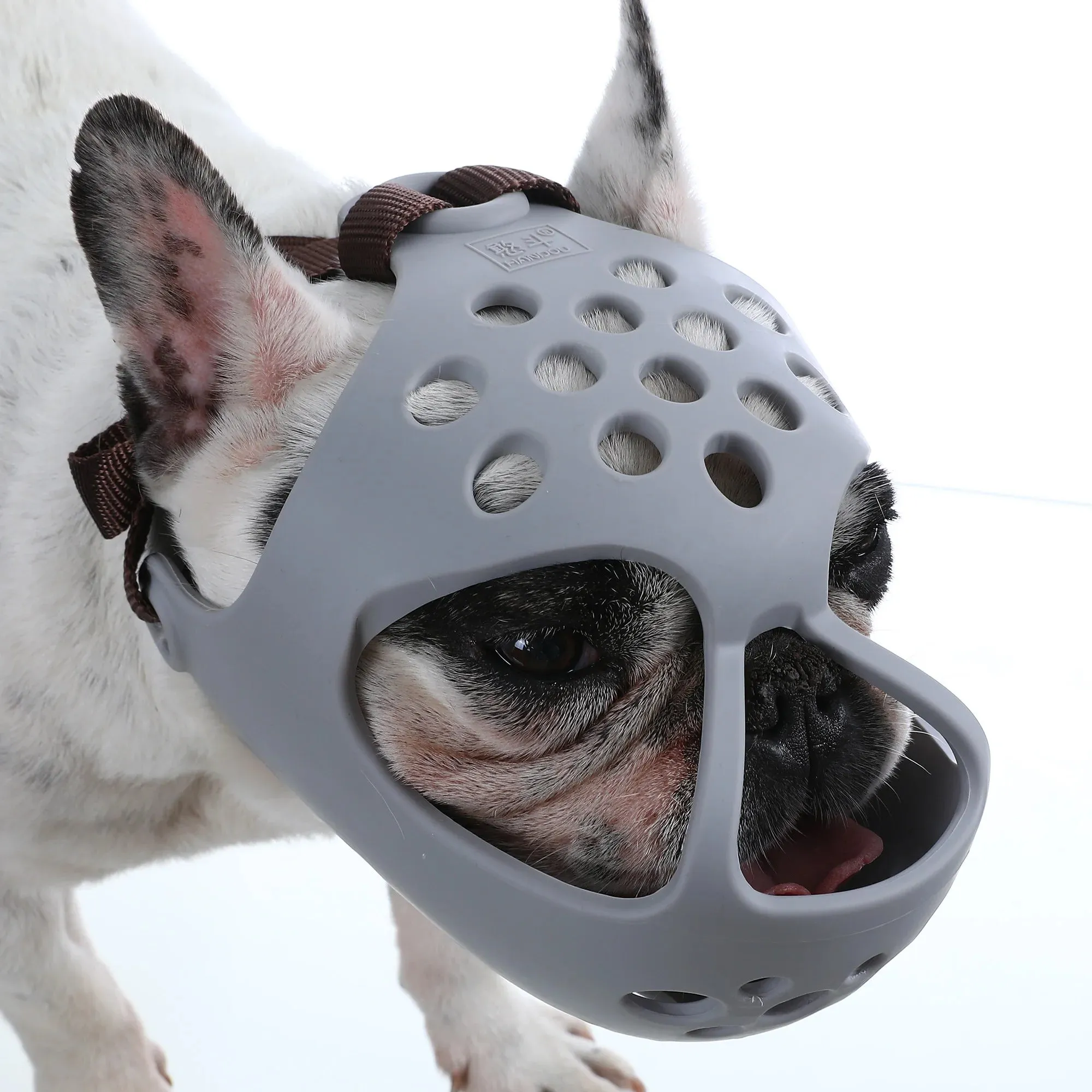 Dog Collar and Muzzle for Short Snout Dogs | Breathable Mesh with Holes | Prevents Biting and Chewing | Suitable for Small and Large Dogs | Alo Trendy