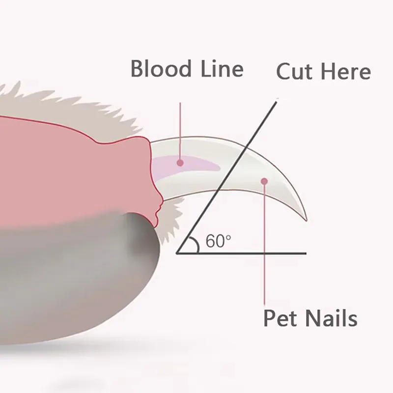 Dog Nail Clippers with Safety Guard and Nail Catcher
