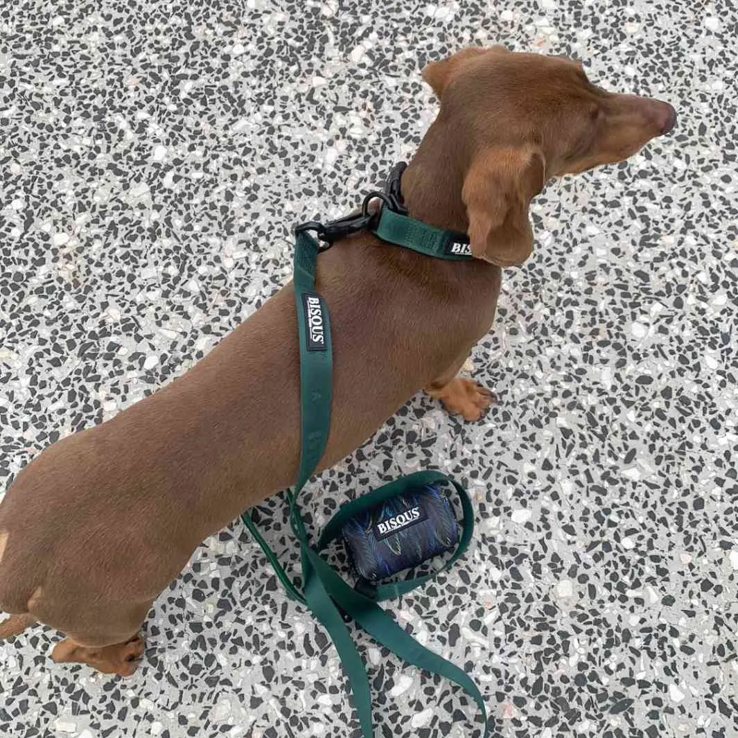 Dog Poop Bag Holder | Plume Green