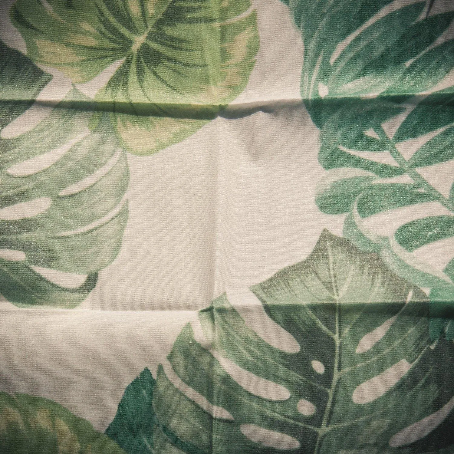Eco-Friendly Beeswax Food Wrap - Natural Reusable Wraps