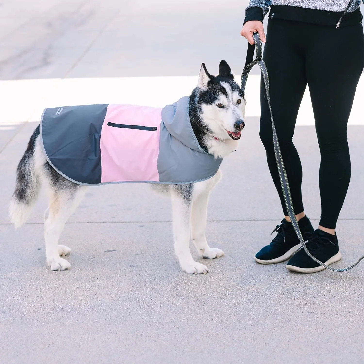 Eddie Bauer E24232L Ravenna Colorblocked Dog Windbreaker Jacket in Large, Grey and Pink