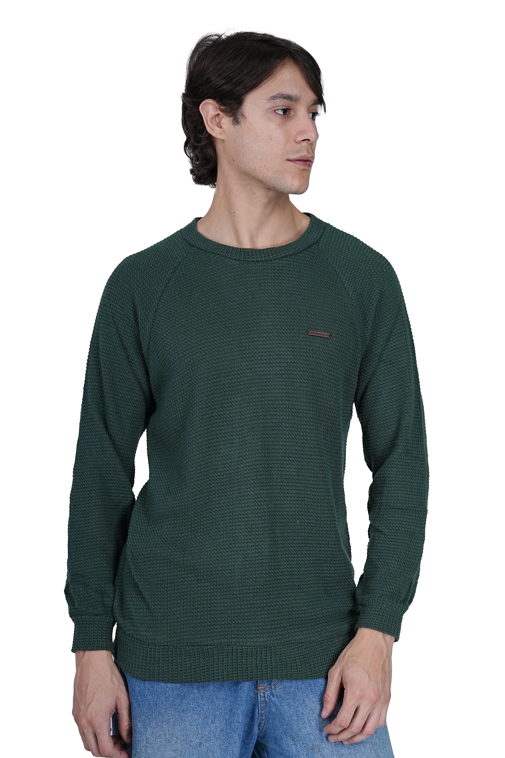 Flawless Men Green Knitted Sweater