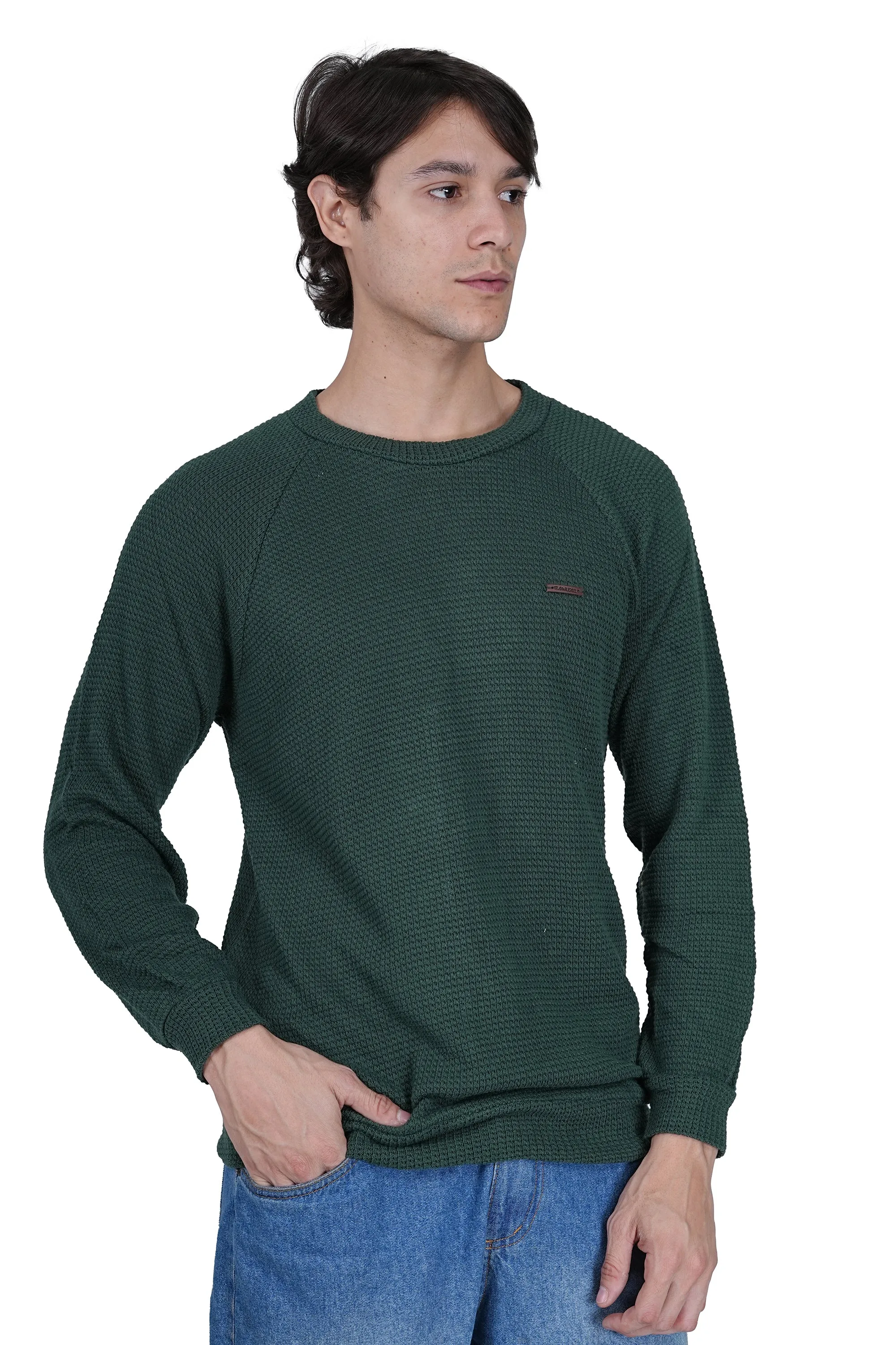 Flawless Men Green Knitted Sweater