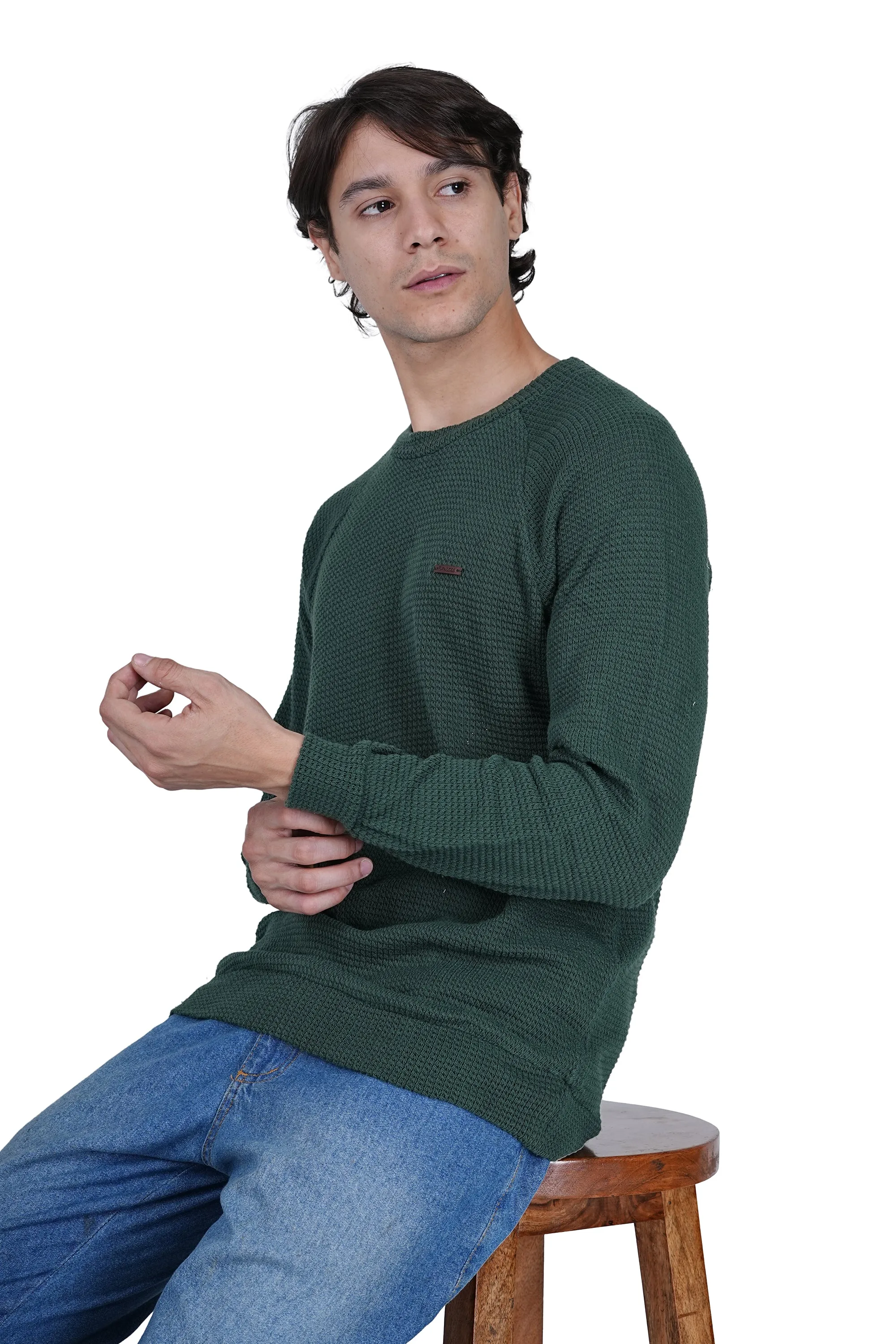 Flawless Men Green Knitted Sweater