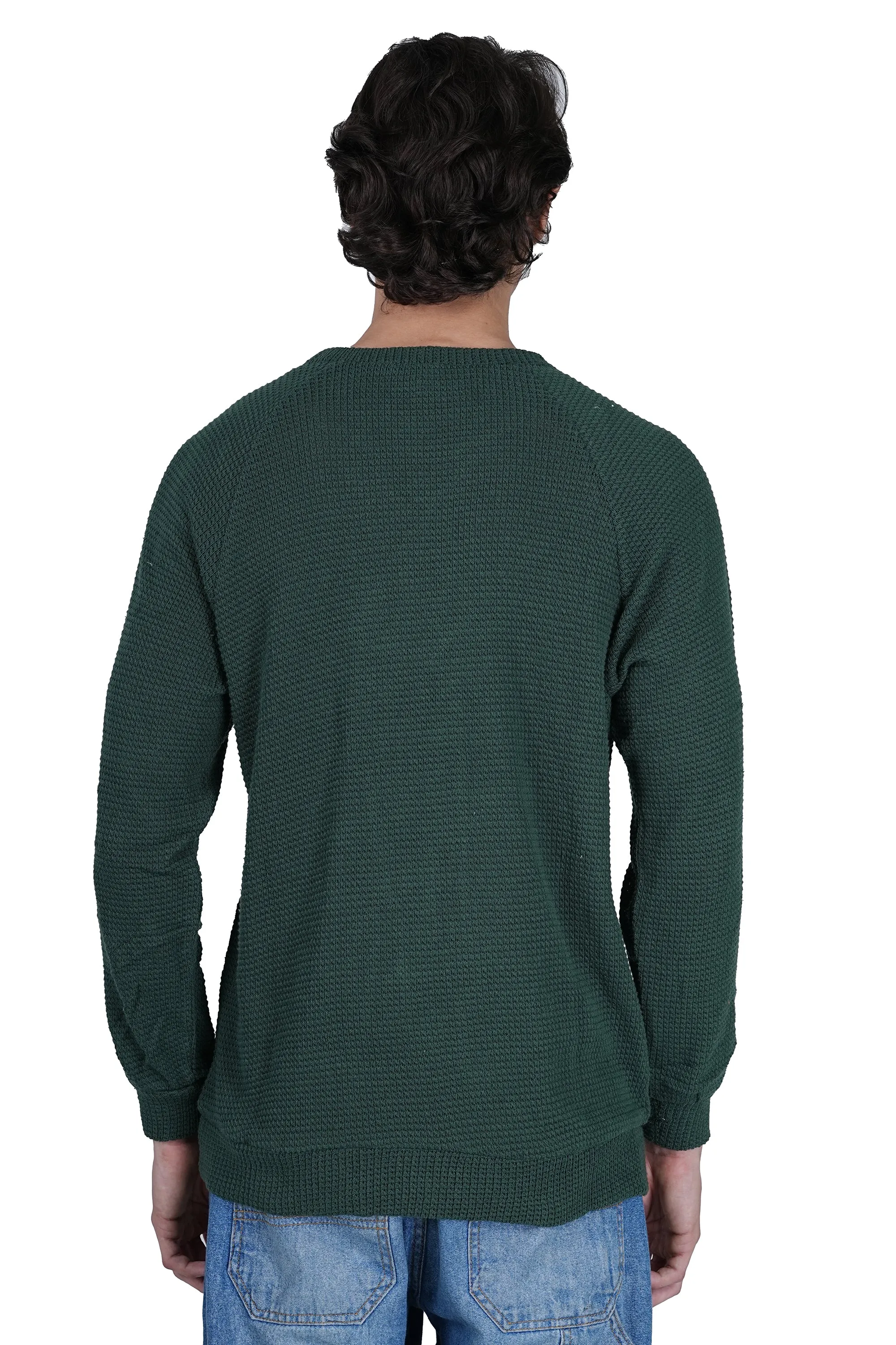 Flawless Men Green Knitted Sweater