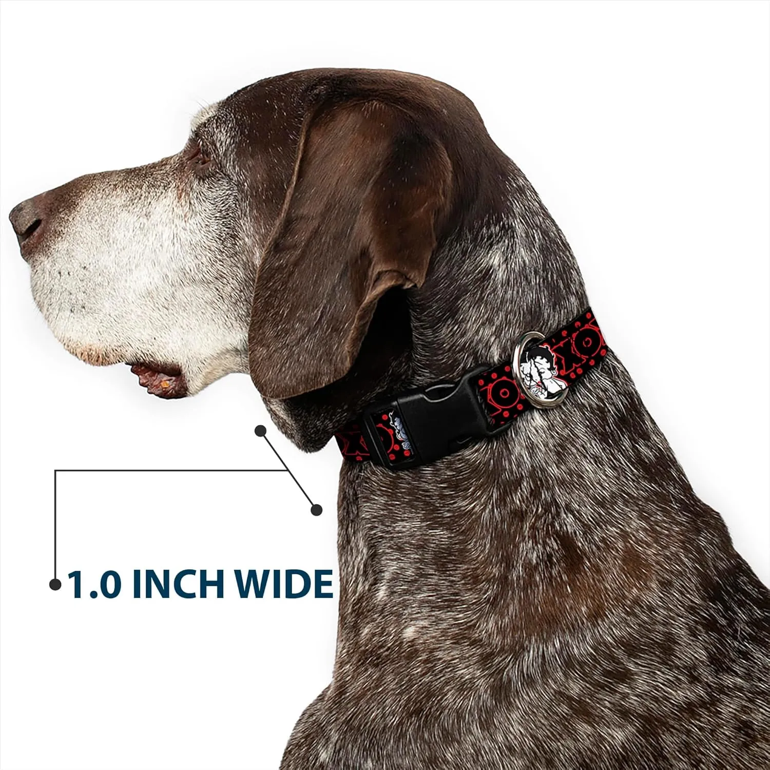 Fleischer Studios, Inc. Pet Collar, Dog Collar Plastic Buckle, Betty Boop Winking Kiss Pose XOXO Text Polka Dot Black Red, 15 to 24 Inches 1.0 Inch Wide