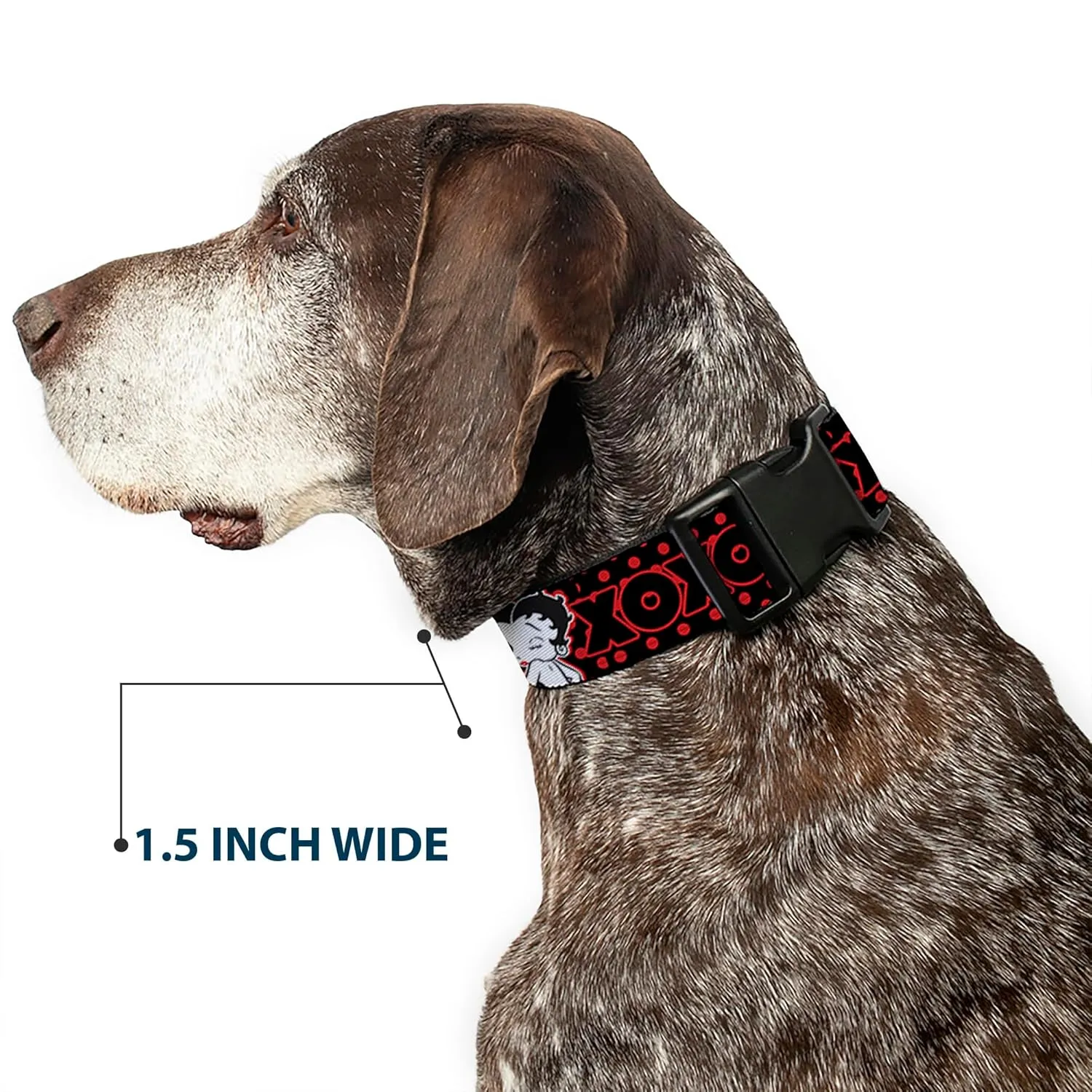 Fleischer Studios, Inc. Pet Collar, Dog Collar Plastic Buckle, Betty Boop Winking Kiss Pose XOXO Text Polka Dot Black Red, 15 to 24 Inches 1.0 Inch Wide