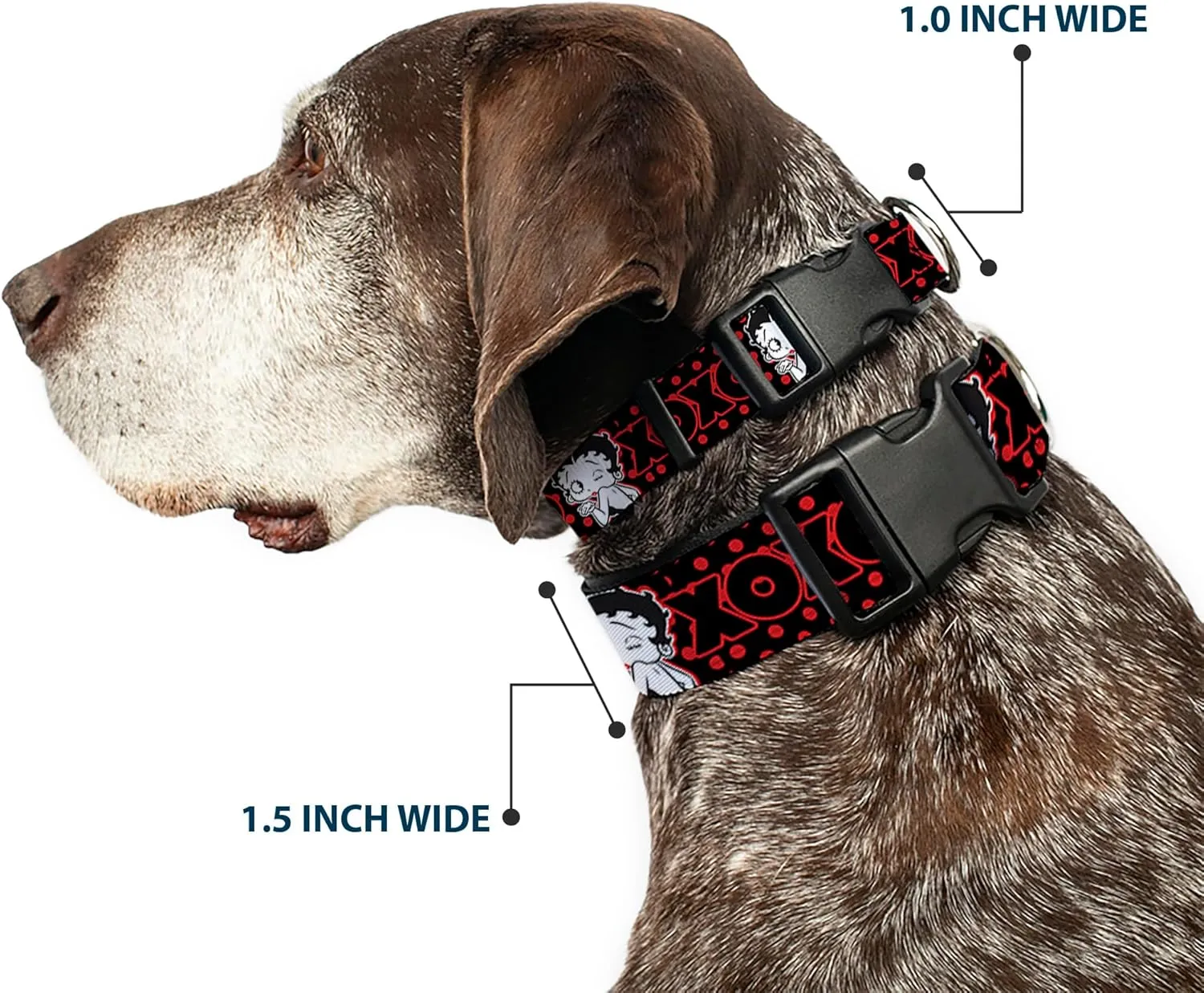 Fleischer Studios, Inc. Pet Collar, Dog Collar Plastic Buckle, Betty Boop Winking Kiss Pose XOXO Text Polka Dot Black Red, 15 to 24 Inches 1.0 Inch Wide