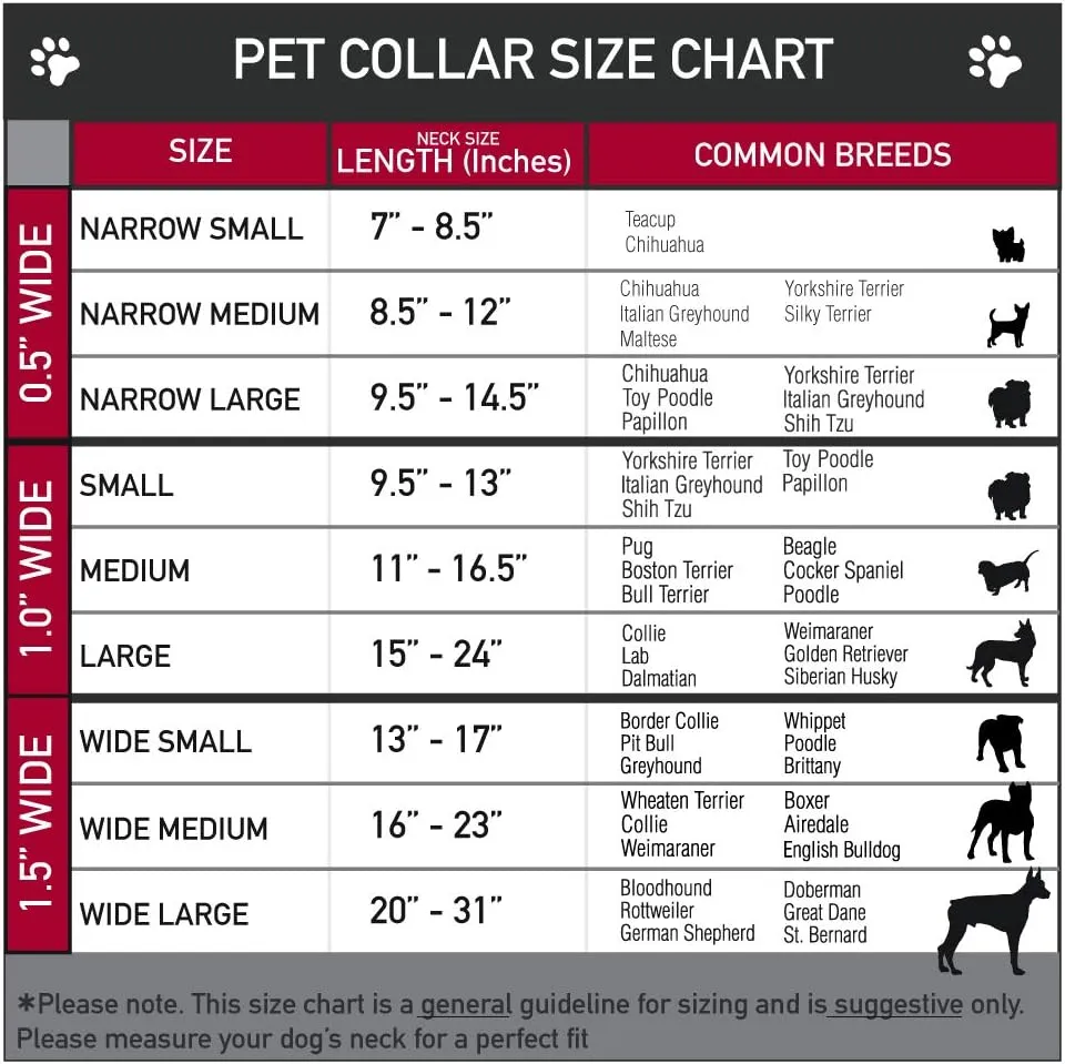 Fleischer Studios, Inc. Pet Collar, Dog Collar Plastic Buckle, Betty Boop Winking Kiss Pose XOXO Text Polka Dot Black Red, 15 to 24 Inches 1.0 Inch Wide