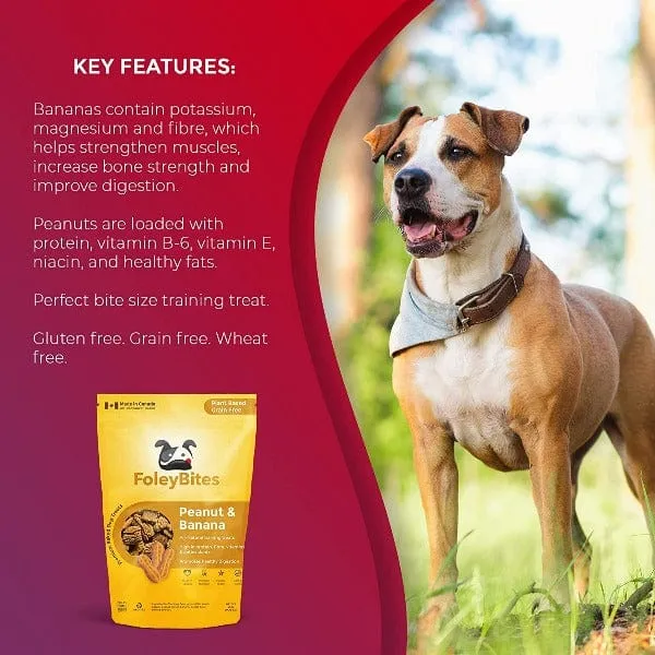 Foley Bites Peanut & Banana Premium Baked Dog Treats