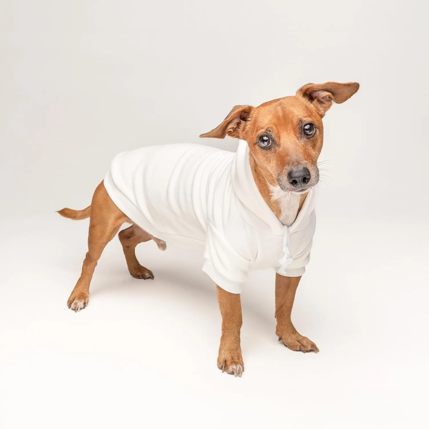 Happy Easter Dog Hoodie | Fleece Lined |Leash Hole| Easter Bunny | Egg Hunt| Funny Outfit Prop Photoshoot|Cream, Medium (74)