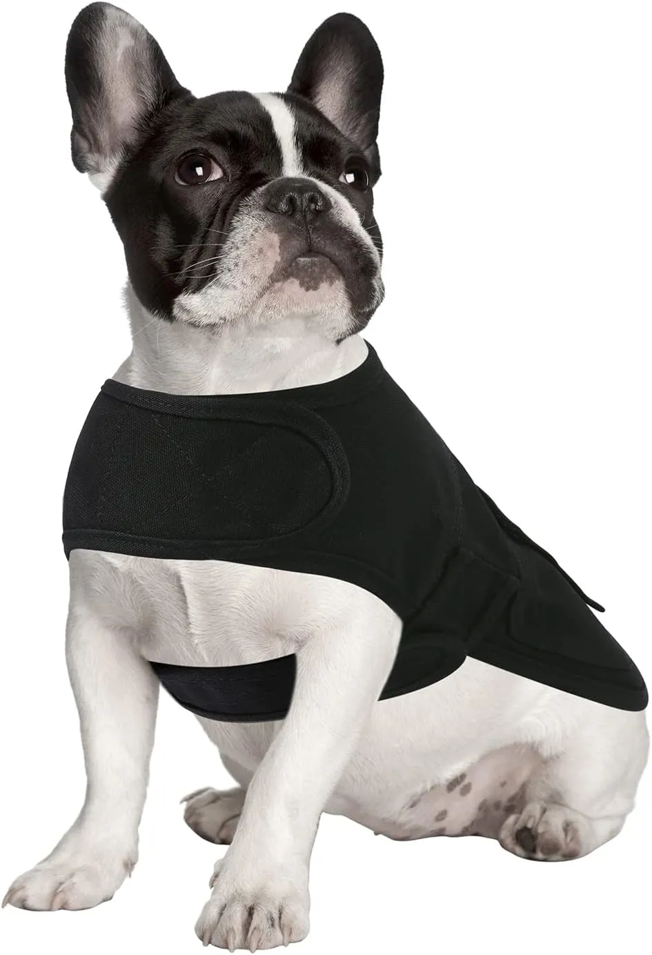 HDE Canvas Dog Vest Waterproof Jacket Cold Weather Coats for S-XL Dogs Black - M