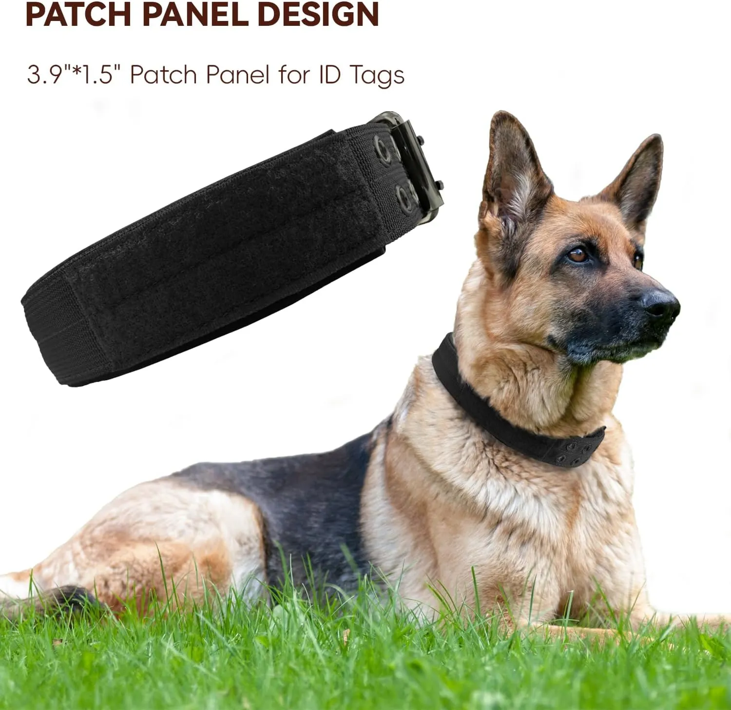 Heavy Duty Dog Collar for Large Dogs, 2 PCS Tactical Dog Collars with Metal Buckle & D Ring, 1.5" Width Thick Adjustable Nylon Collar for Medium Dogs, Black/XL