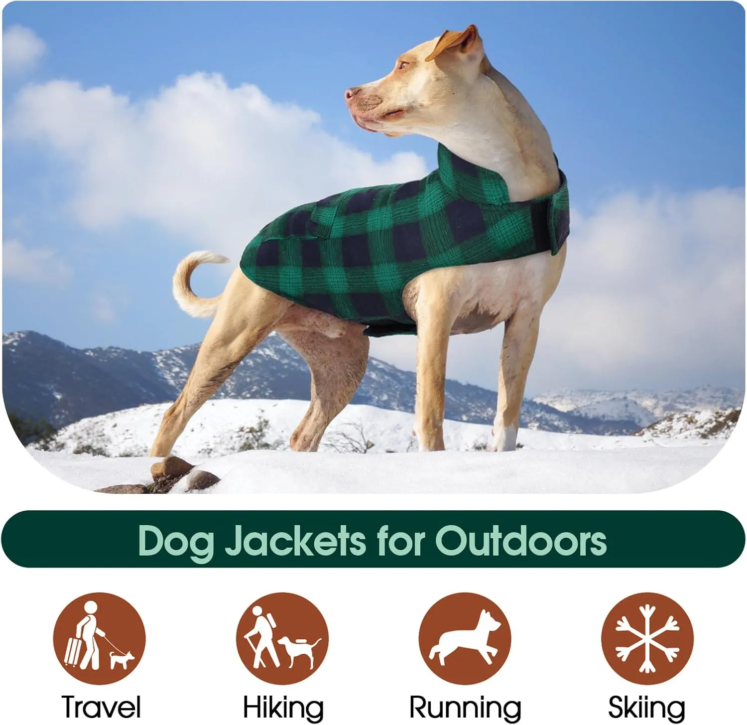 Kuoser Reversible Dog Jacket, Warm Winter Coat, Windproof Dog Clothes, Puppy Cold Weather Coat, Green S, M, L
