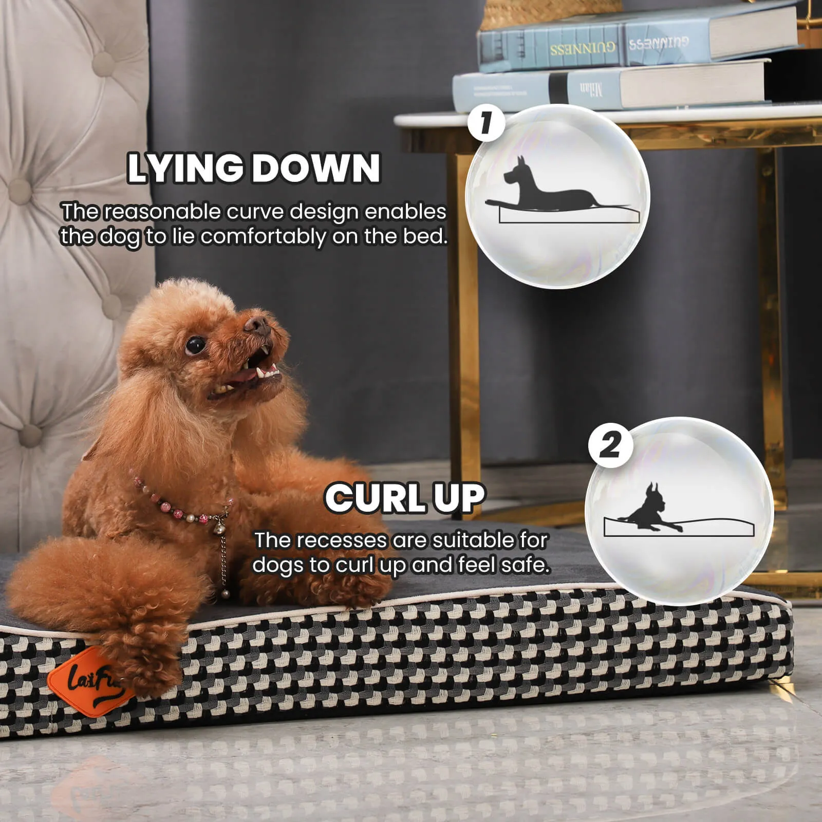 Laifug Wavy Dog Bed