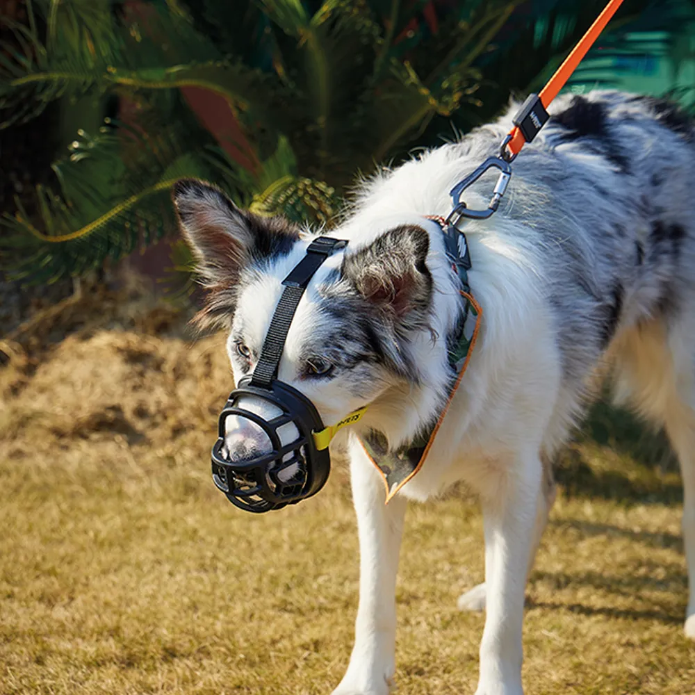 M-PETS Bark Guard Muzzle