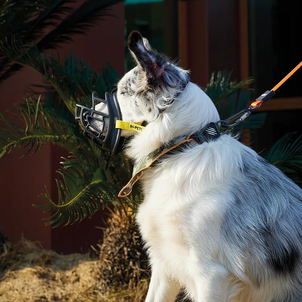 M-PETS Bark Guard Muzzle