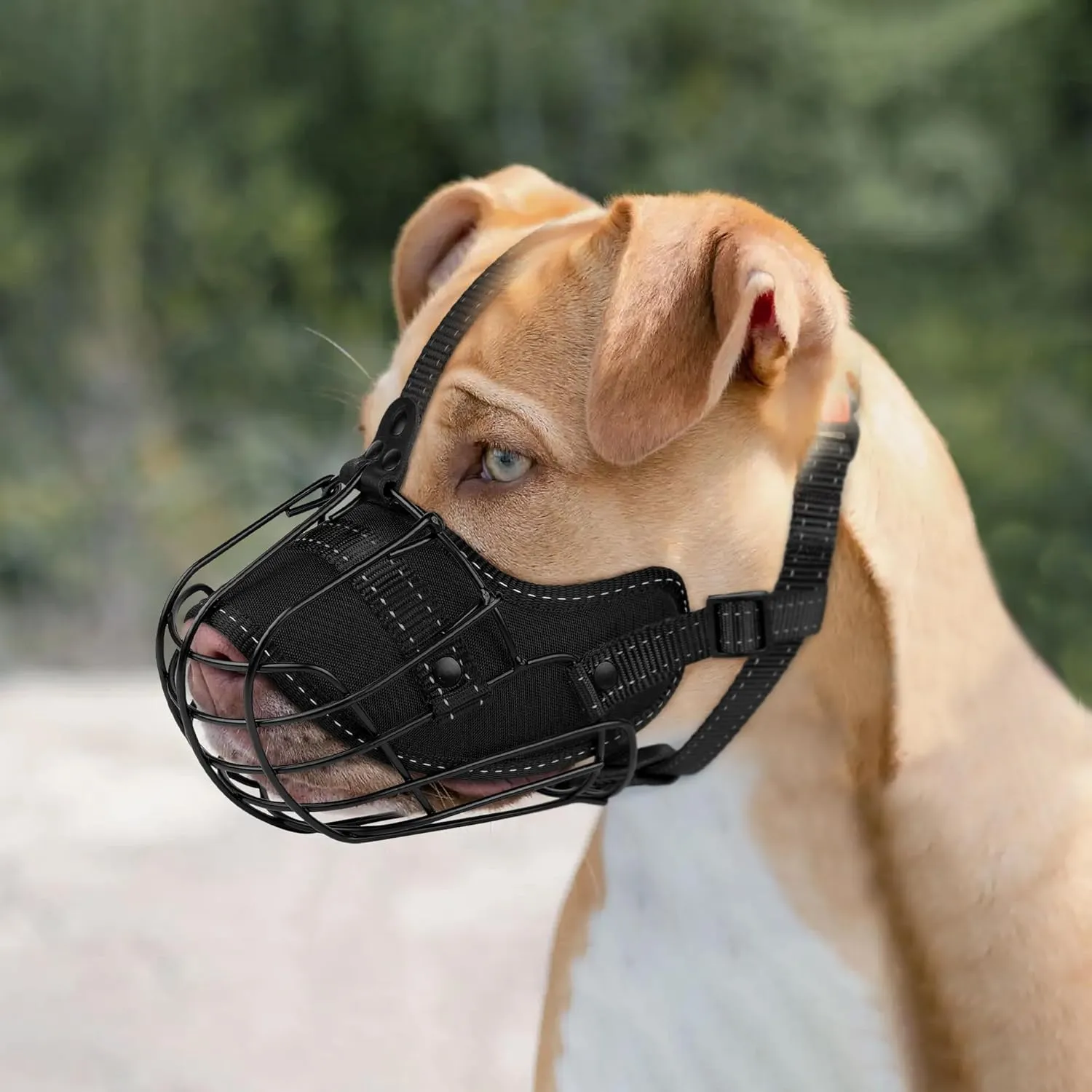 OOPSDOGGY Pitbull Dog Muzzle Reflective Metal Mask Secure Wire Basket Muzzle for Large Sized Dogs Amstaff Soft Cage Muzzle to Prevent Biting Chewing with Adjustable Nylon Straps (Black, Pitbull)