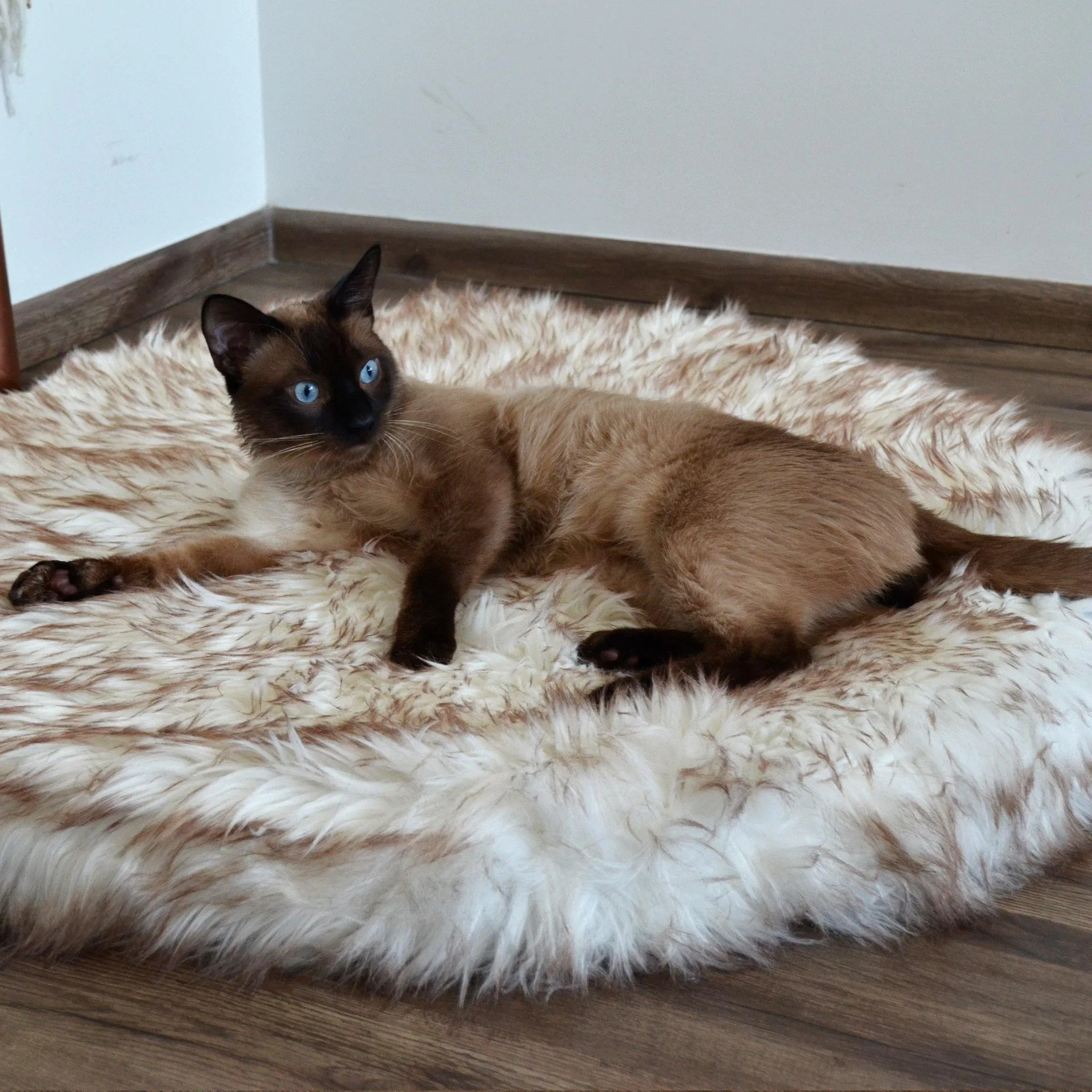 OrthoRug™ Cat / Small Dog Luxury Orthopedic Bed