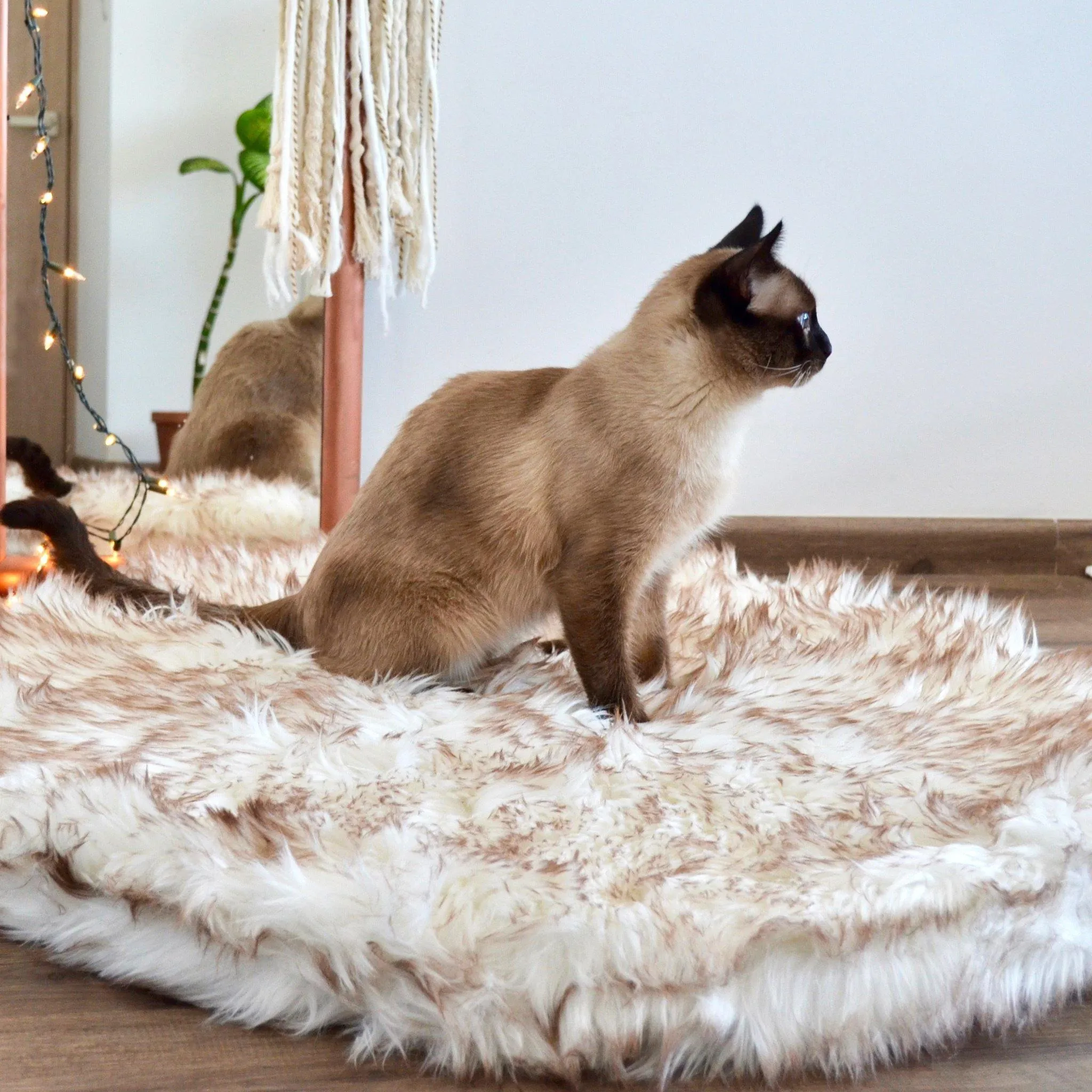 OrthoRug™ Cat / Small Dog Luxury Orthopedic Bed