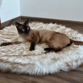 OrthoRug™ Cat / Small Dog Luxury Orthopedic Bed