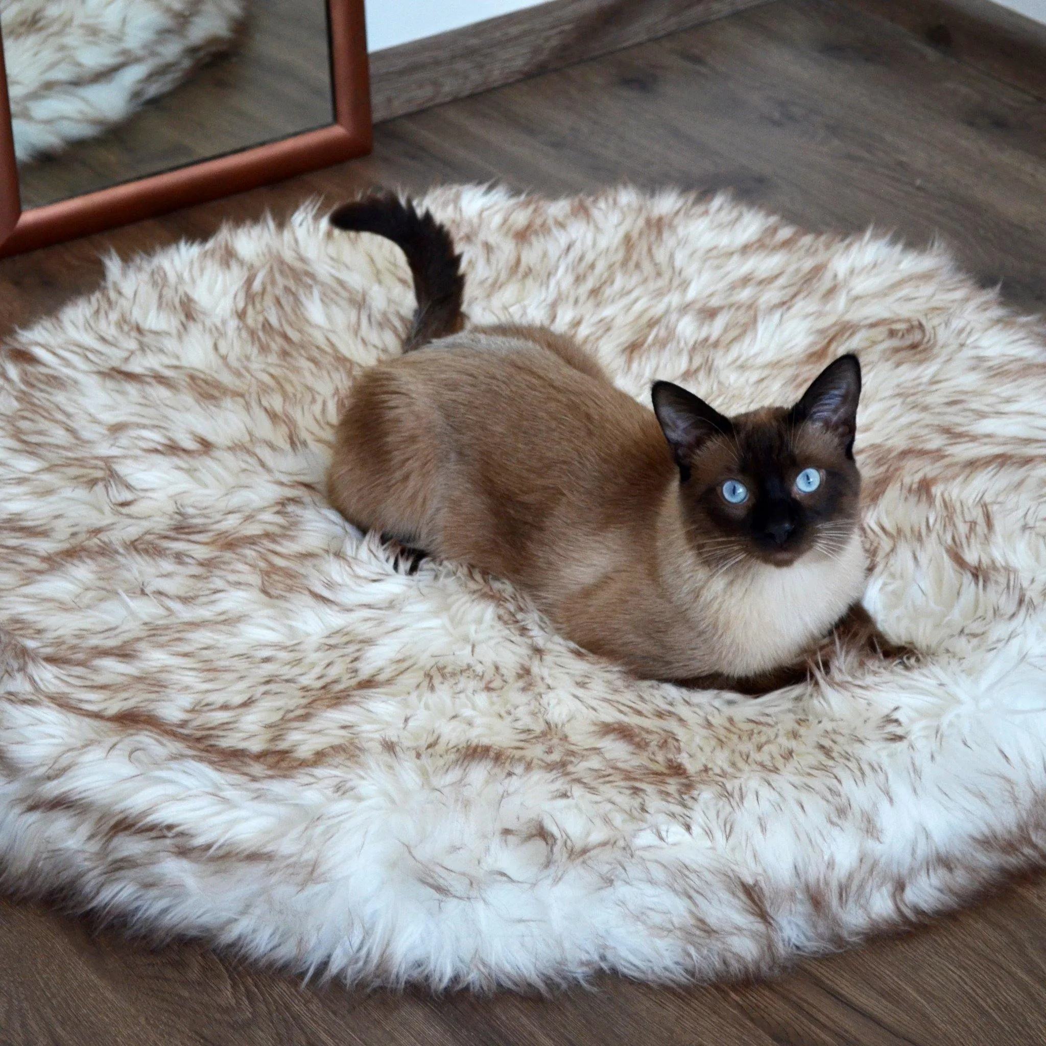 OrthoRug™ Cat / Small Dog Luxury Orthopedic Bed