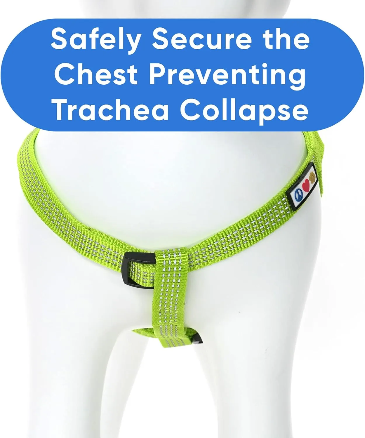 Pawtitas Small Dog Harness - Green, Adjustable, Reflective Step-in Harness for Senior Dogs to Puppies