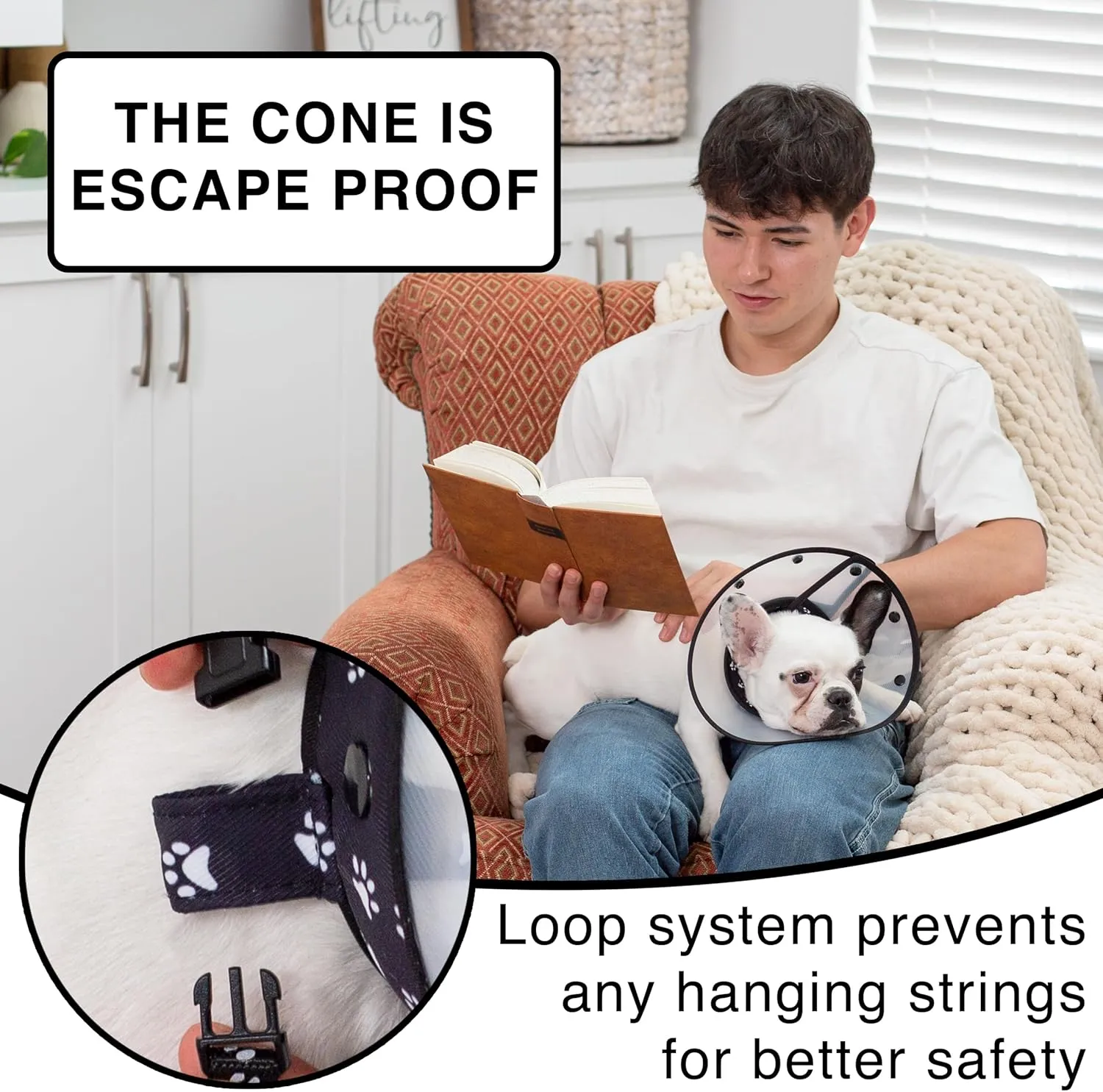Pet Cone Black (Black, Medium)