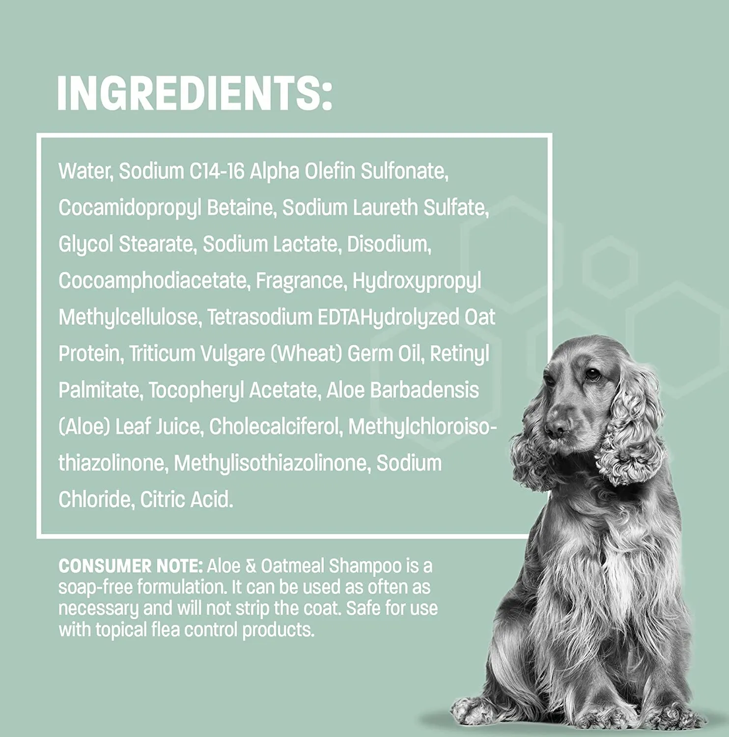 Pet Health Pros Aloe & Oatmeal Shampoo for Dogs and Cats; Hypoallergenic and Moisturizing Components; Combats Allergies and Itching; Moisturizes;  Size: 16oz, Scent: Pina Colada