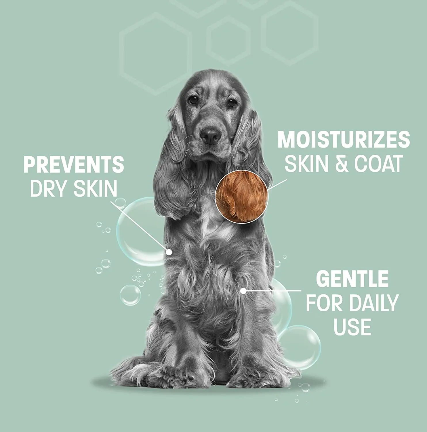 Pet Health Pros Aloe & Oatmeal Shampoo for Dogs and Cats; Hypoallergenic and Moisturizing Components; Combats Allergies and Itching; Moisturizes;  Size: 16oz, Scent: Pina Colada