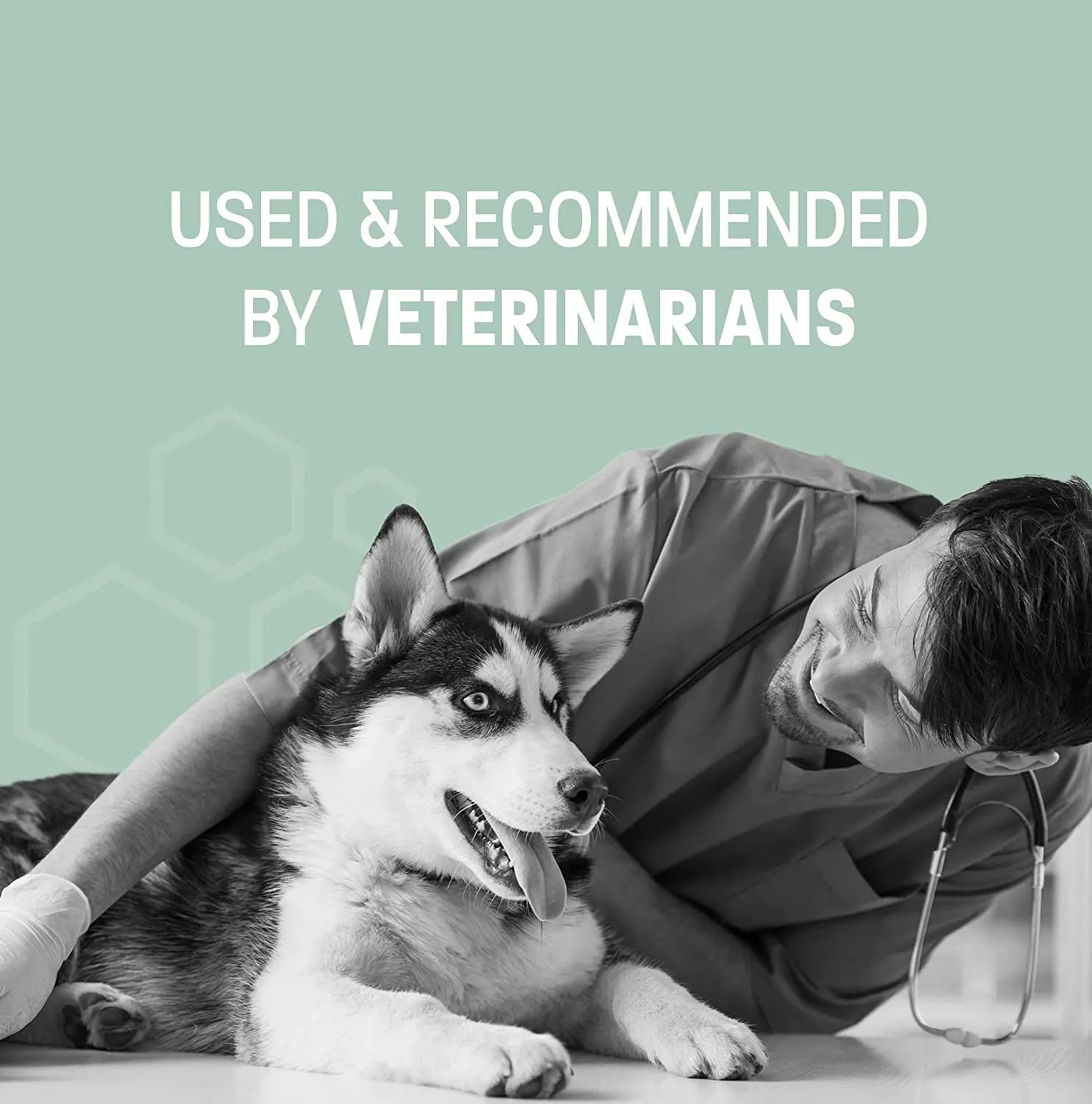 Pet Health Pros Aloe & Oatmeal Shampoo for Dogs and Cats; Hypoallergenic and Moisturizing Components; Combats Allergies and Itching; Moisturizes;  Size: 16oz, Scent: Pina Colada