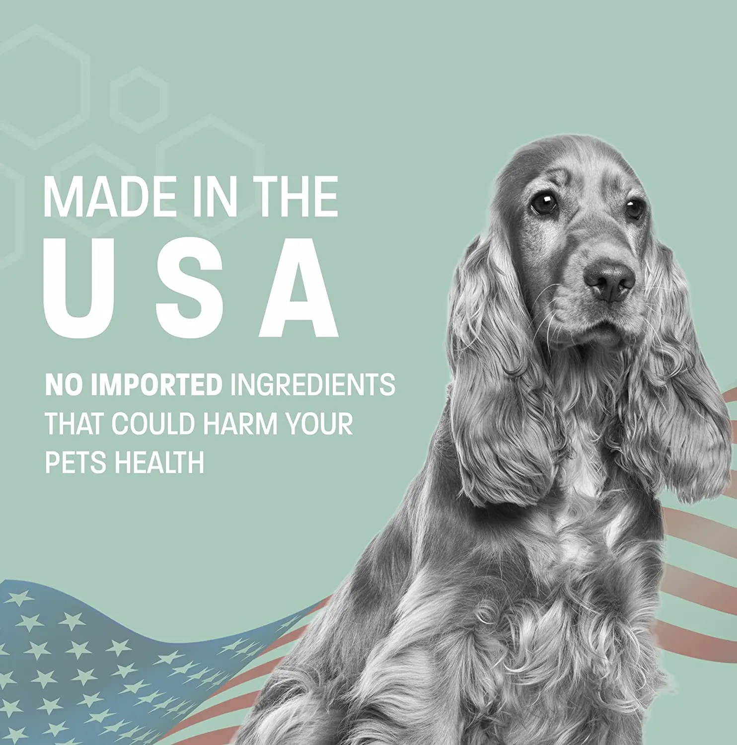 Pet Health Pros Aloe & Oatmeal Shampoo for Dogs and Cats; Hypoallergenic and Moisturizing Components; Combats Allergies and Itching; Moisturizes;  Size: 16oz, Scent: Pina Colada